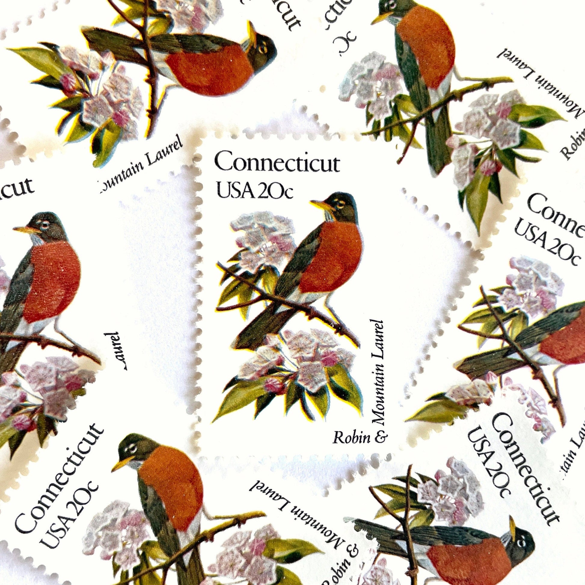 Image of 20-cent State Birds & Flowers 1982 Connecticut USPS postage stamp featuring a Robin and Mountain Laurel. Scott #1959. Stamp themes: Birds, Aviary, Flowers, Flora, Robin, Mountain Laurel, White Flower, Pink Flower, Connecticut State Bird, Connecticut State Flower. Red/Orange postage stamp.