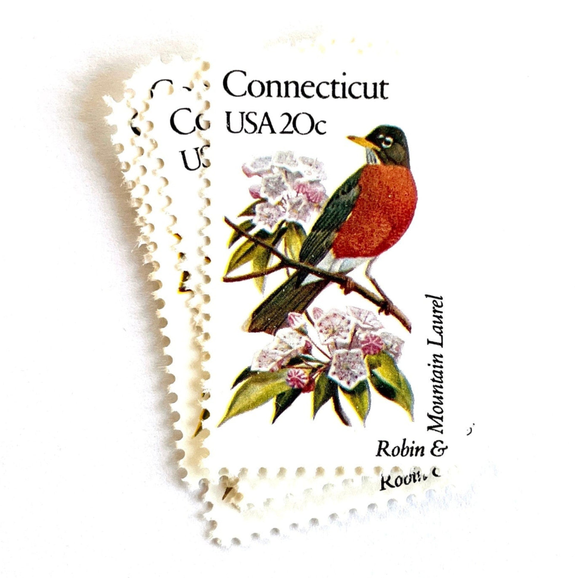 Image of 20-cent State Birds & Flowers 1982 Connecticut USPS postage stamp featuring a Robin and Mountain Laurel. Scott #1959. Stamp themes: Birds, Aviary, Flowers, Flora, Robin, Mountain Laurel, White Flower, Pink Flower, Connecticut State Bird, Connecticut State Flower. Red/Orange postage stamp.