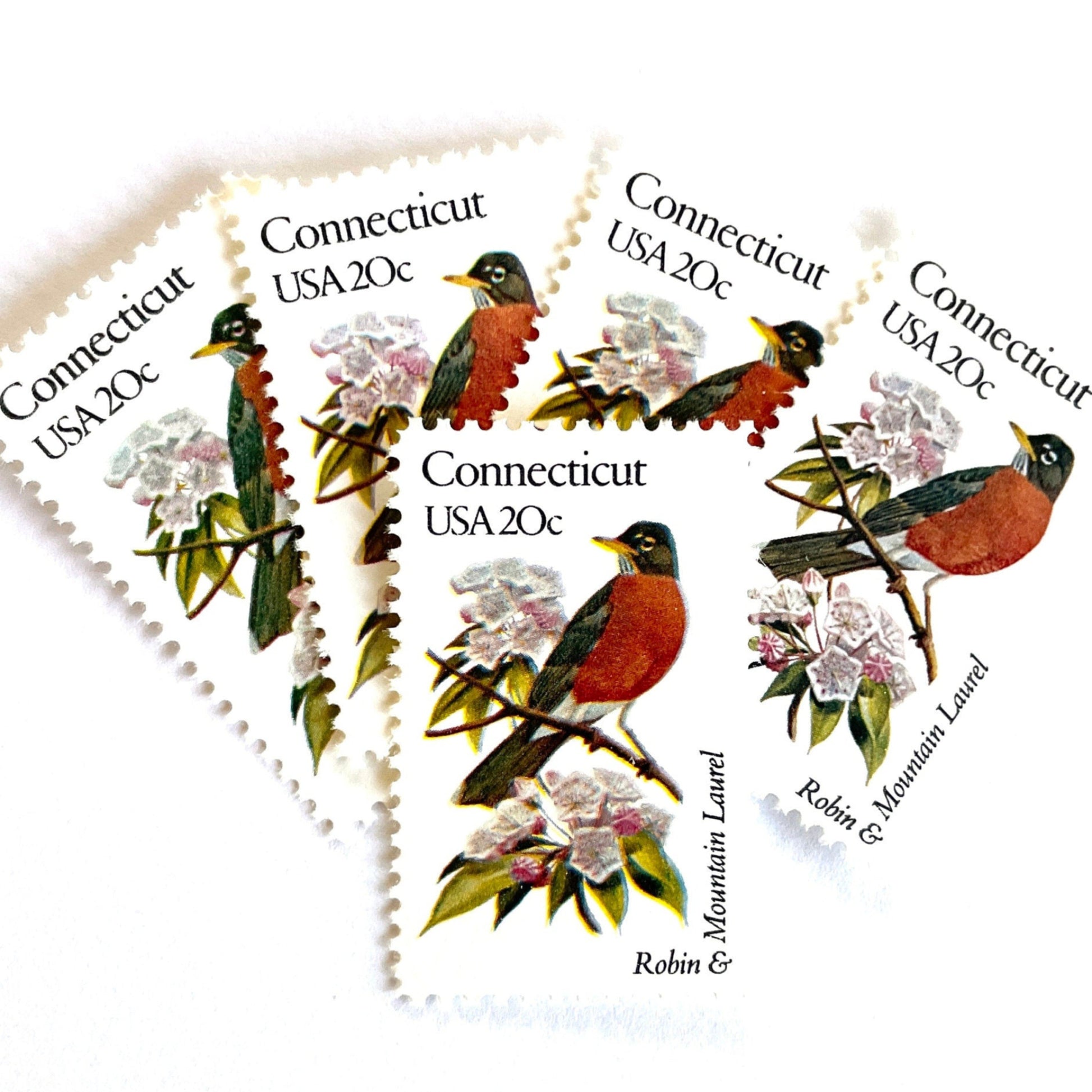 Image of 20-cent State Birds & Flowers 1982 Connecticut USPS postage stamp featuring a Robin and Mountain Laurel. Scott #1959. Stamp themes: Birds, Aviary, Flowers, Flora, Robin, Mountain Laurel, White Flower, Pink Flower, Connecticut State Bird, Connecticut State Flower. Red/Orange postage stamp.