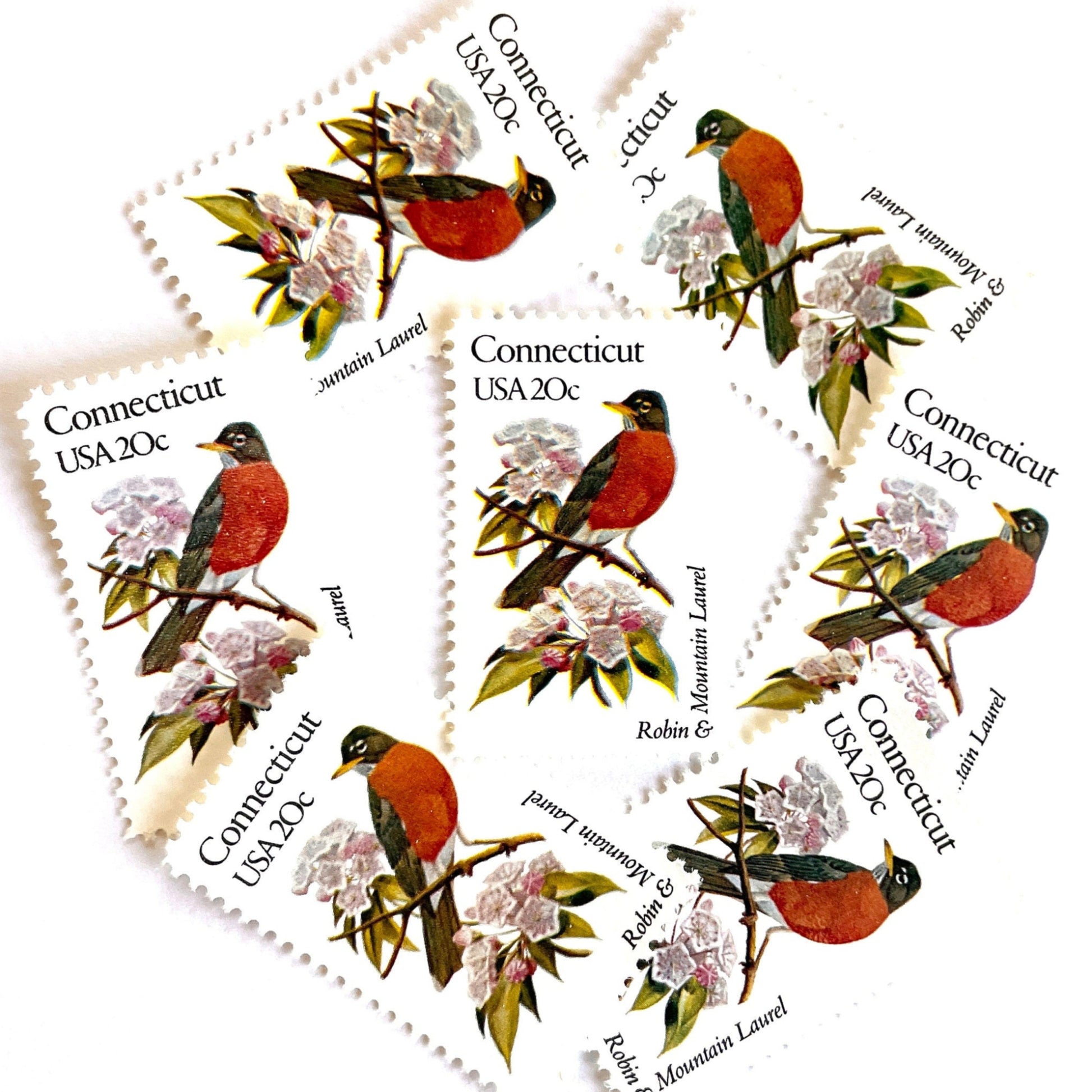 Image of 20-cent State Birds & Flowers 1982 Connecticut USPS postage stamp featuring a Robin and Mountain Laurel. Scott #1959. Stamp themes: Birds, Aviary, Flowers, Flora, Robin, Mountain Laurel, White Flower, Pink Flower, Connecticut State Bird, Connecticut State Flower. Red/Orange postage stamp.