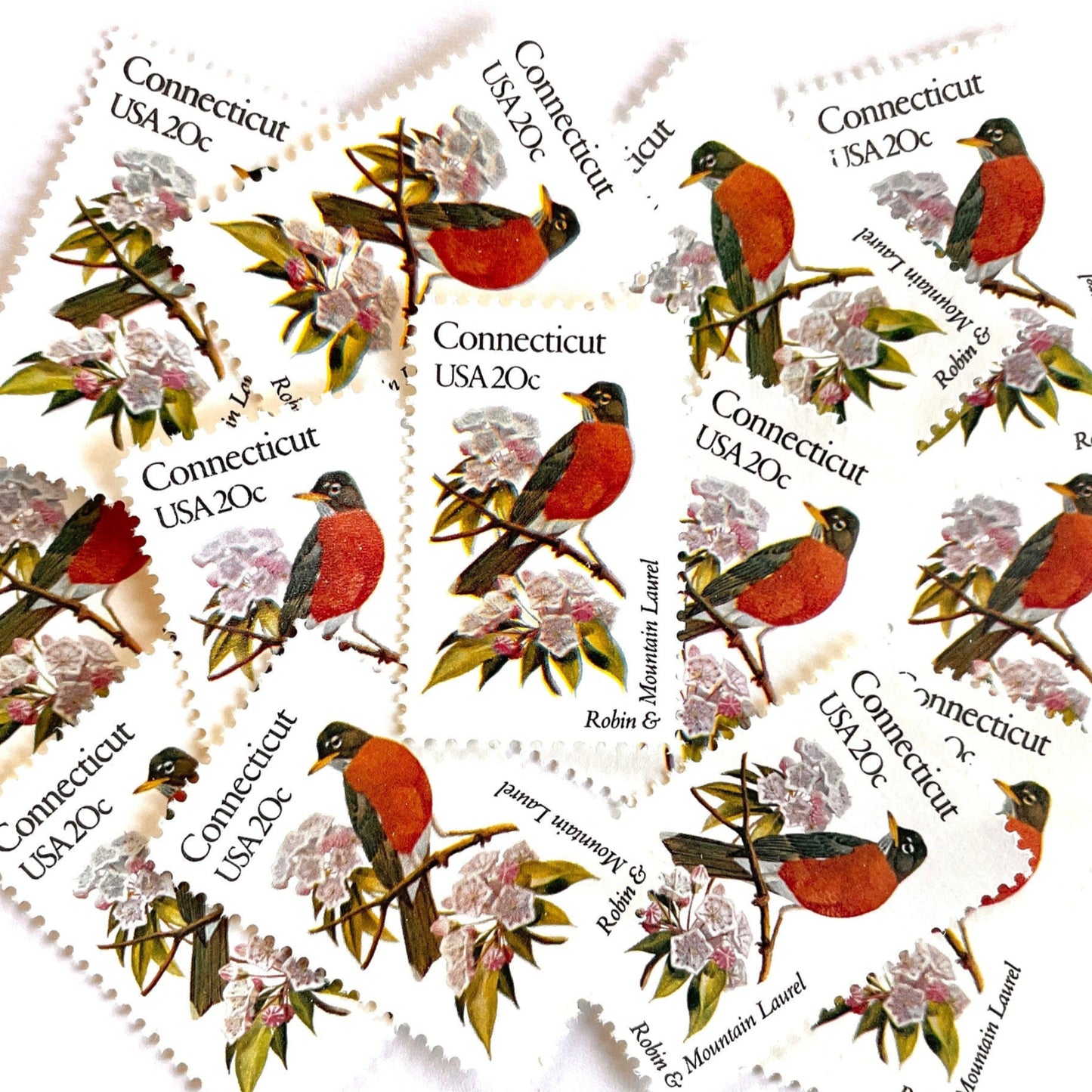 Image of 20-cent State Birds & Flowers 1982 Connecticut USPS postage stamp featuring a Robin and Mountain Laurel. Scott #1959. Stamp themes: Birds, Aviary, Flowers, Flora, Robin, Mountain Laurel, White Flower, Pink Flower, Connecticut State Bird, Connecticut State Flower. Red/Orange postage stamp.