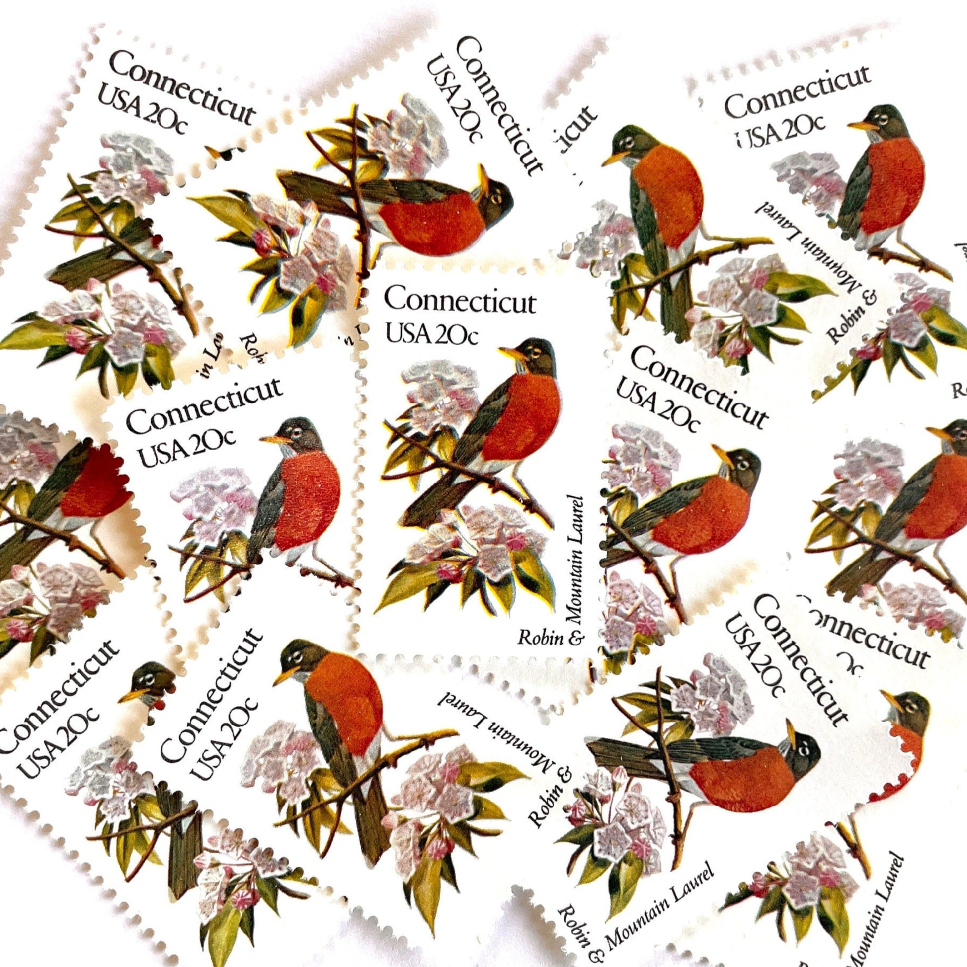 Image of 20-cent State Birds & Flowers 1982 Connecticut USPS postage stamp featuring a Robin and Mountain Laurel. Scott #1959. Stamp themes: Birds, Aviary, Flowers, Flora, Robin, Mountain Laurel, White Flower, Pink Flower, Connecticut State Bird, Connecticut State Flower. Red/Orange postage stamp.