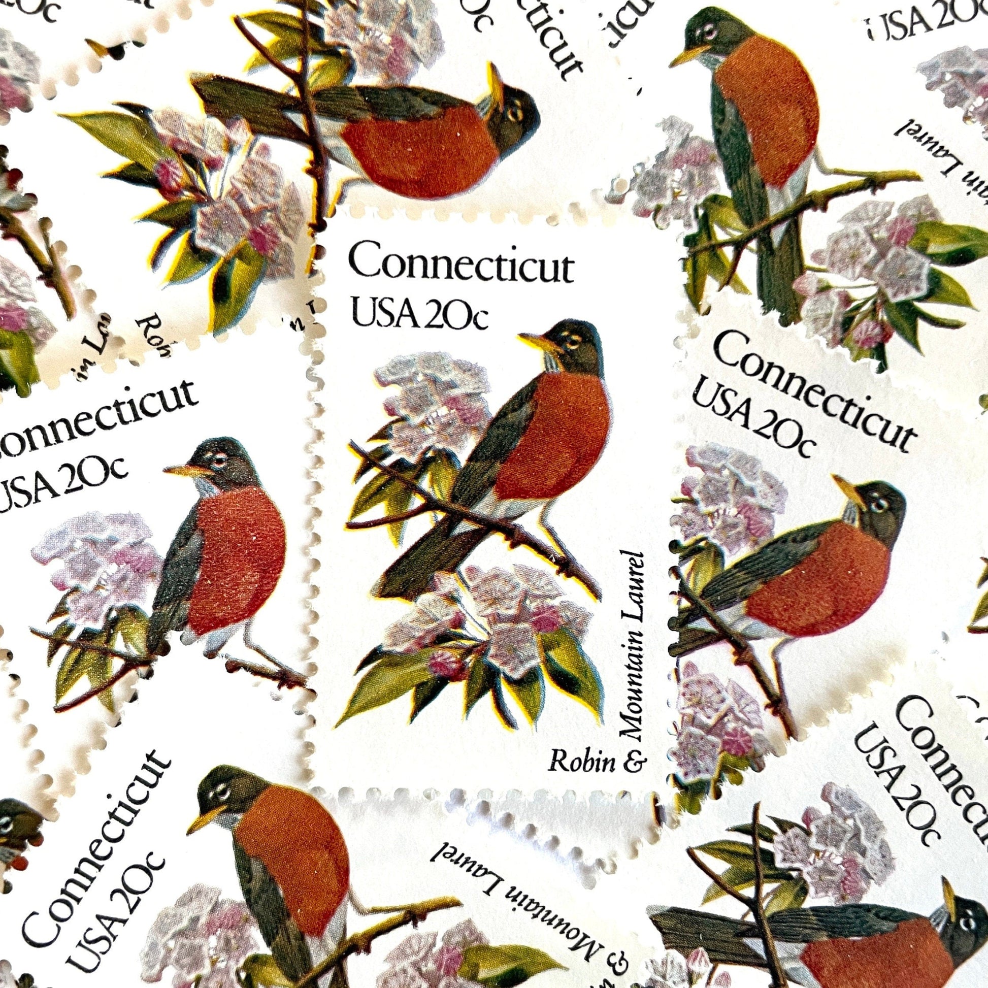 Image of 20-cent State Birds & Flowers 1982 Connecticut USPS postage stamp featuring a Robin and Mountain Laurel. Scott #1959. Stamp themes: Birds, Aviary, Flowers, Flora, Robin, Mountain Laurel, White Flower, Pink Flower, Connecticut State Bird, Connecticut State Flower. Red/Orange postage stamp.