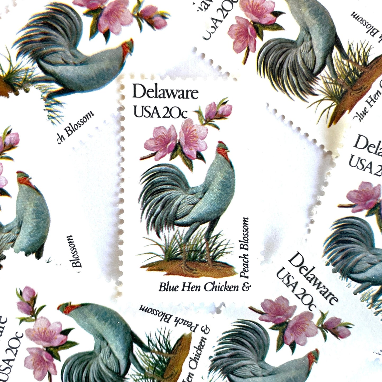 Image of Delaware State Bird and Flower postage stamps from 1982, featuring a Blue Hen chicken and Peach Blossom on vintage unused 20-cent USPS postage, Scott 1960.