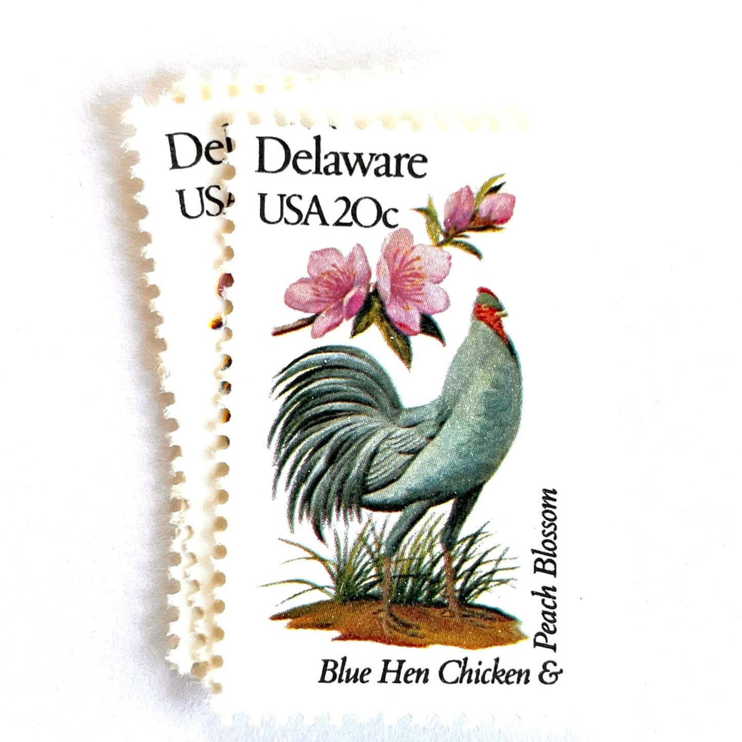 Image of Delaware State Bird and Flower postage stamps from 1982, featuring a Blue Hen chicken and Peach Blossom on vintage unused 20-cent USPS postage, Scott 1960.