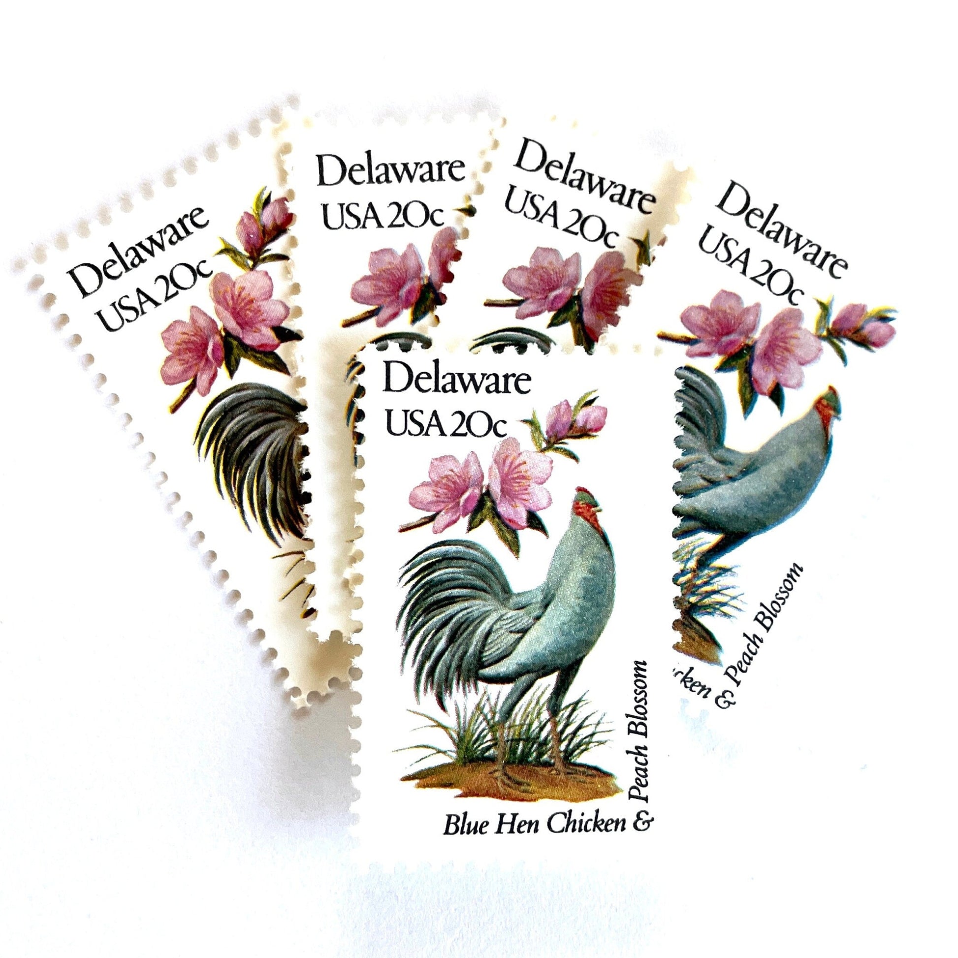 Image of Delaware State Bird and Flower postage stamps from 1982, featuring a Blue Hen chicken and Peach Blossom on vintage unused 20-cent USPS postage, Scott 1960.