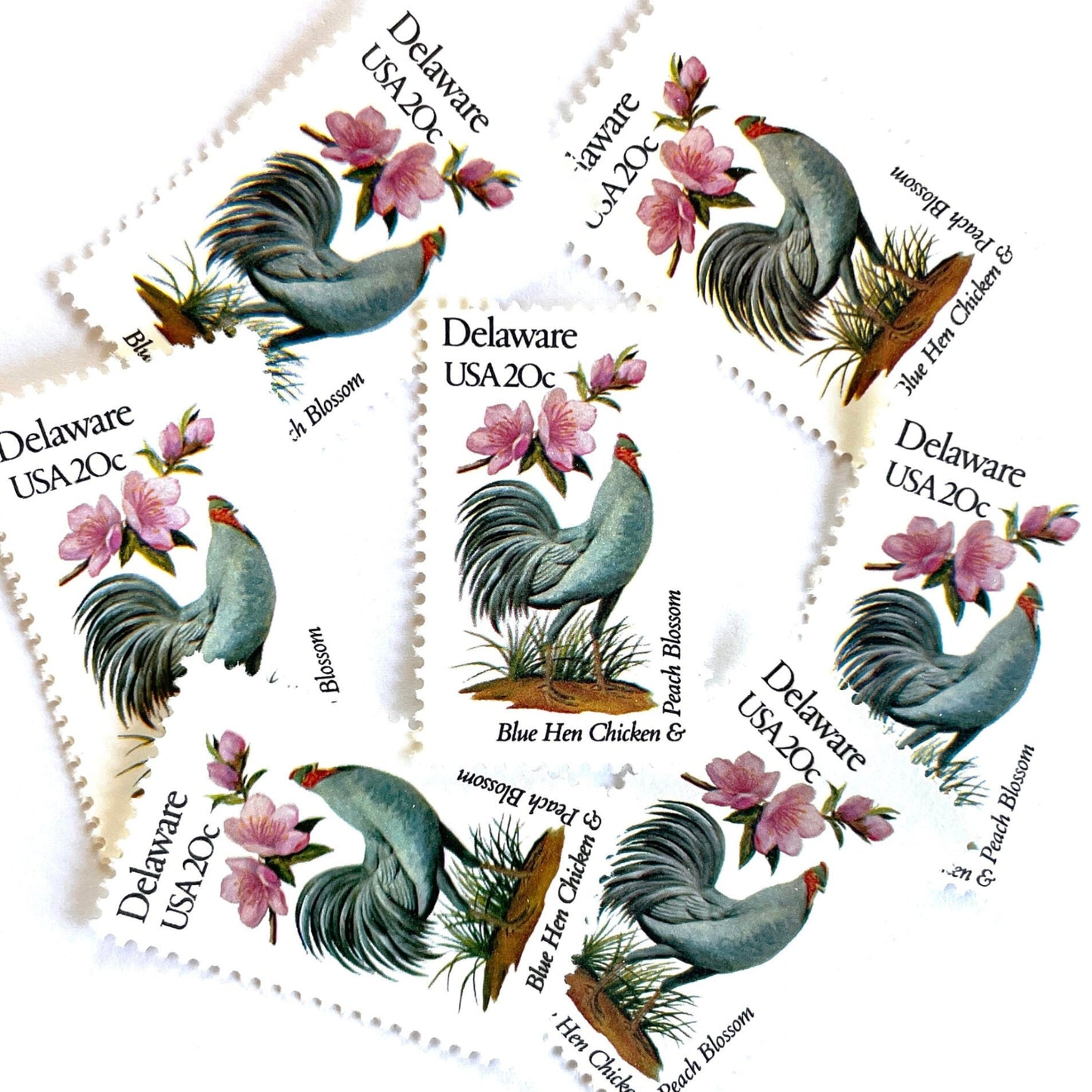 Image of Delaware State Bird and Flower postage stamps from 1982, featuring a Blue Hen chicken and Peach Blossom on vintage unused 20-cent USPS postage, Scott 1960.