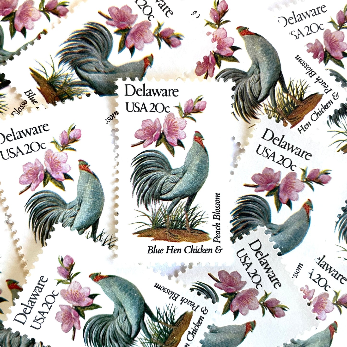 Image of Delaware State Bird and Flower postage stamps from 1982, featuring a Blue Hen chicken and Peach Blossom on vintage unused 20-cent USPS postage, Scott 1960.