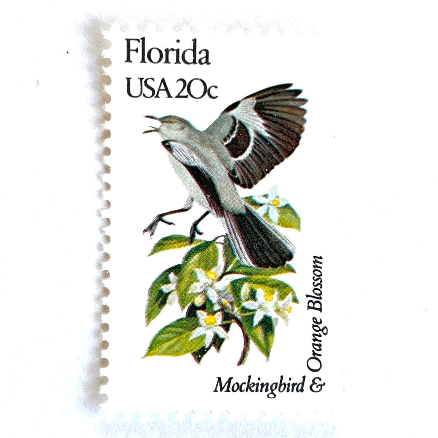 Image of Florida State Bird and Flower postage stamps from 1982, featuring a Mockingbird and Orange Blossom on vintage unused 20-cent USPS postage, Scott 1961.