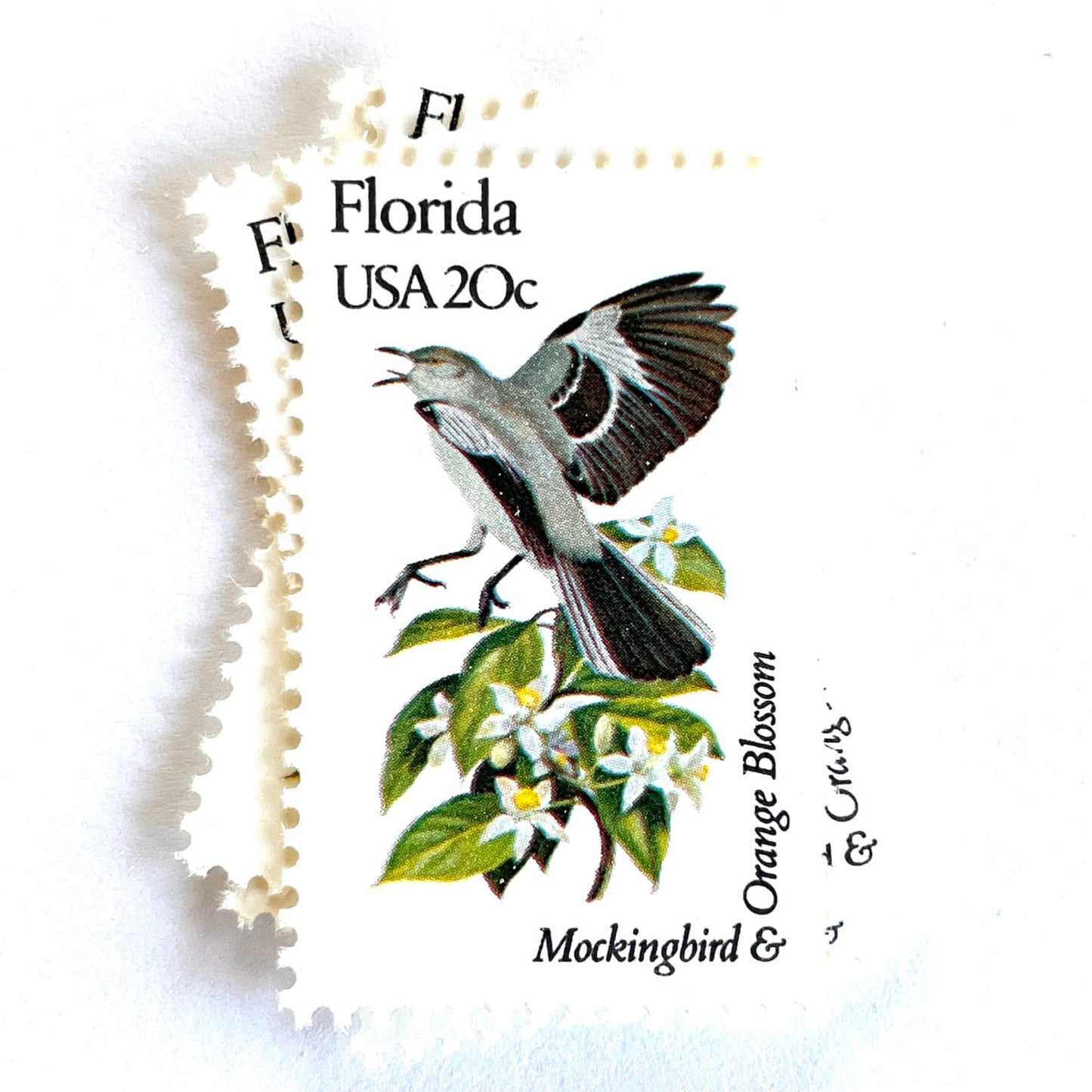 Image of Florida State Bird and Flower postage stamps from 1982, featuring a Mockingbird and Orange Blossom on vintage unused 20-cent USPS postage, Scott 1961.