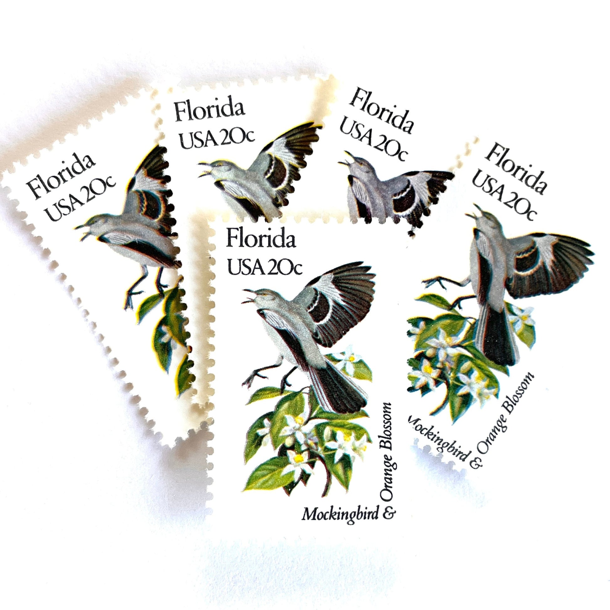 Image of Florida State Bird and Flower postage stamps from 1982, featuring a Mockingbird and Orange Blossom on vintage unused 20-cent USPS postage, Scott 1961.