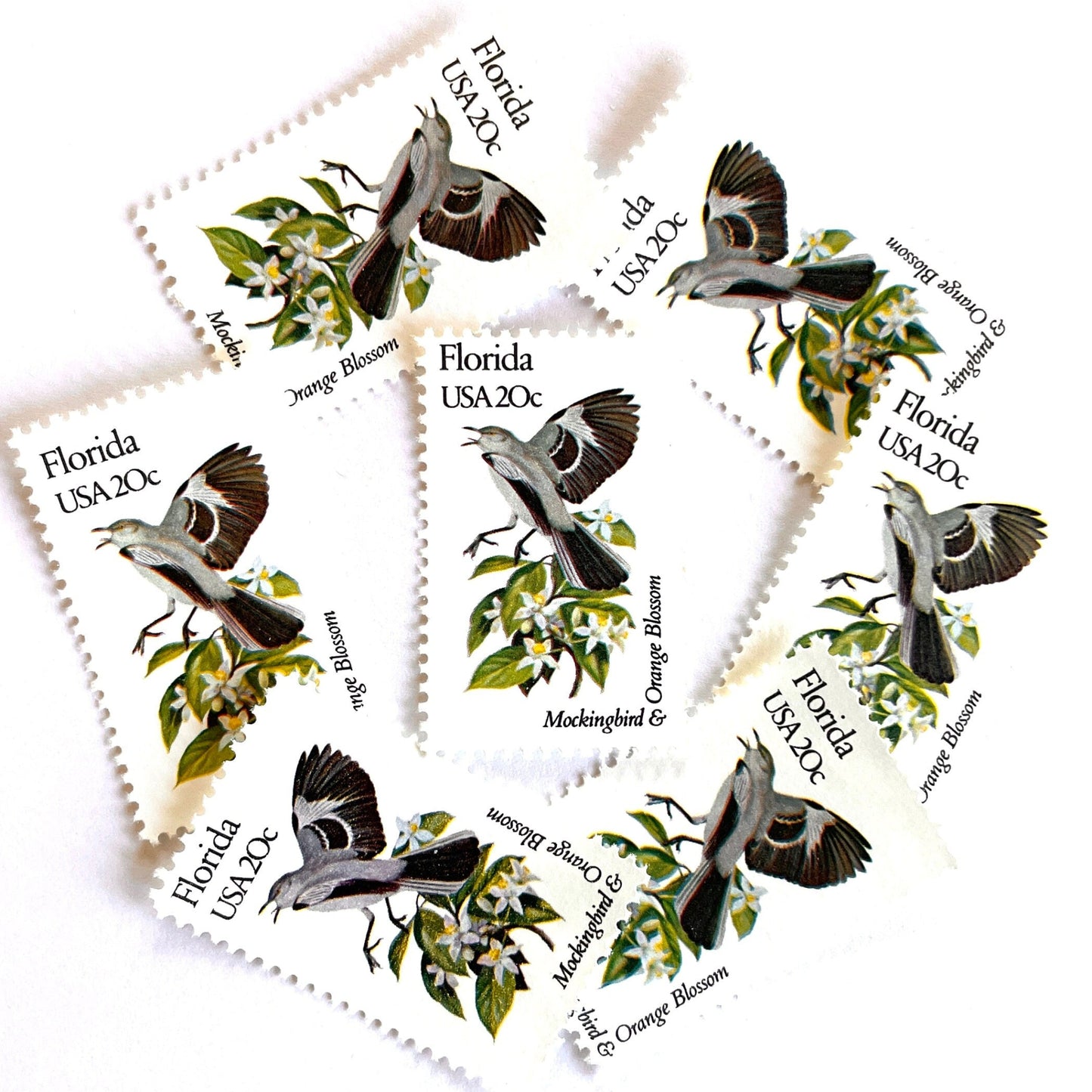 Image of Florida State Bird and Flower postage stamps from 1982, featuring a Mockingbird and Orange Blossom on vintage unused 20-cent USPS postage, Scott 1961.