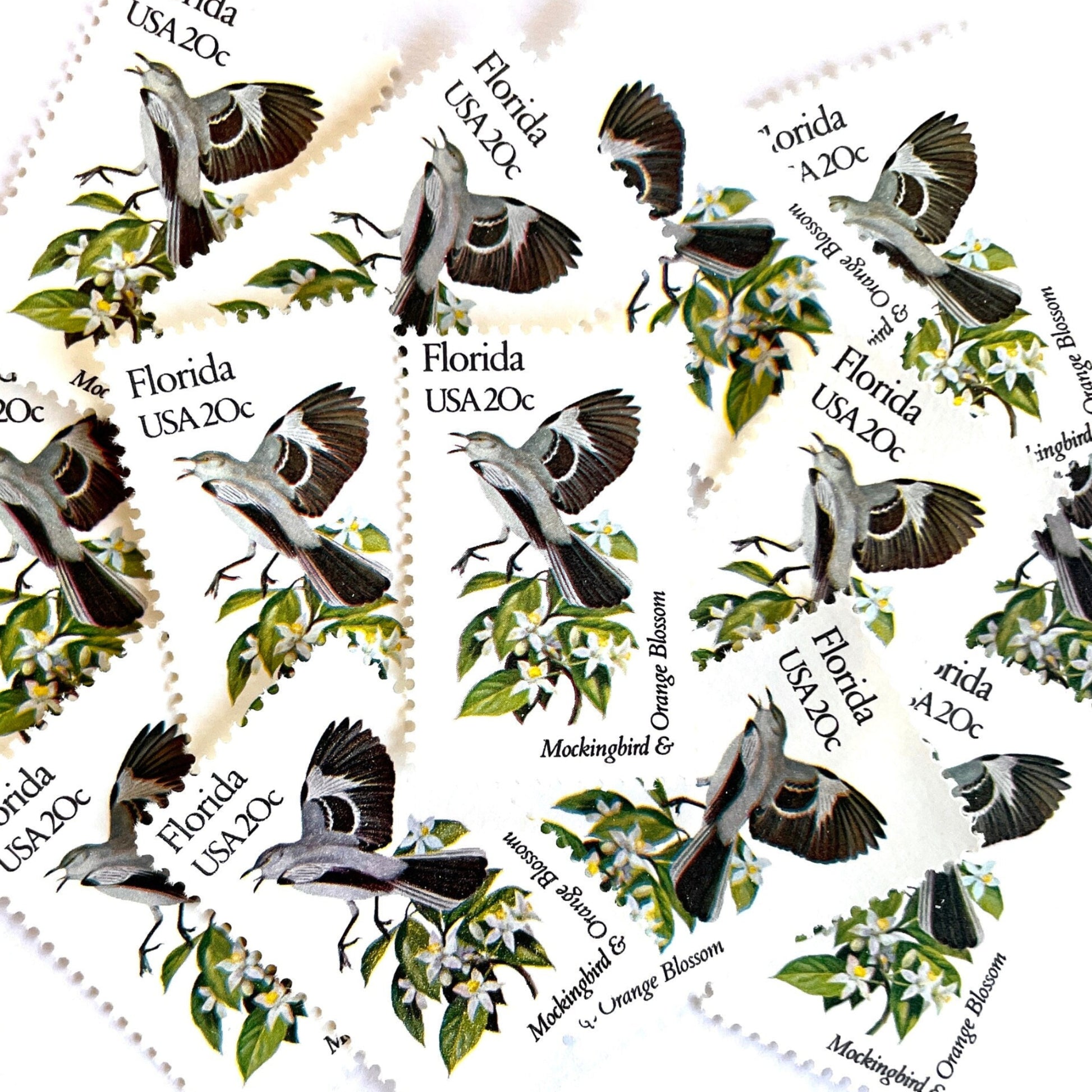 Image of Florida State Bird and Flower postage stamps from 1982, featuring a Mockingbird and Orange Blossom on vintage unused 20-cent USPS postage, Scott 1961.
