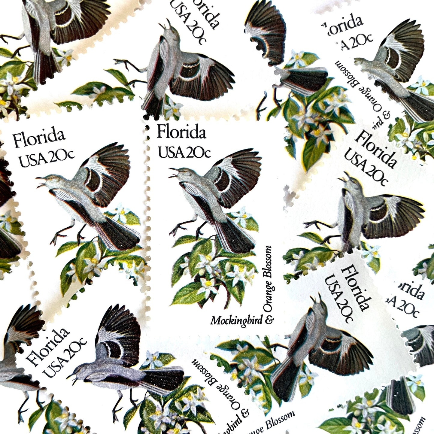 Image of Florida State Bird and Flower postage stamps from 1982, featuring a Mockingbird and Orange Blossom on vintage unused 20-cent USPS postage, Scott 1961.