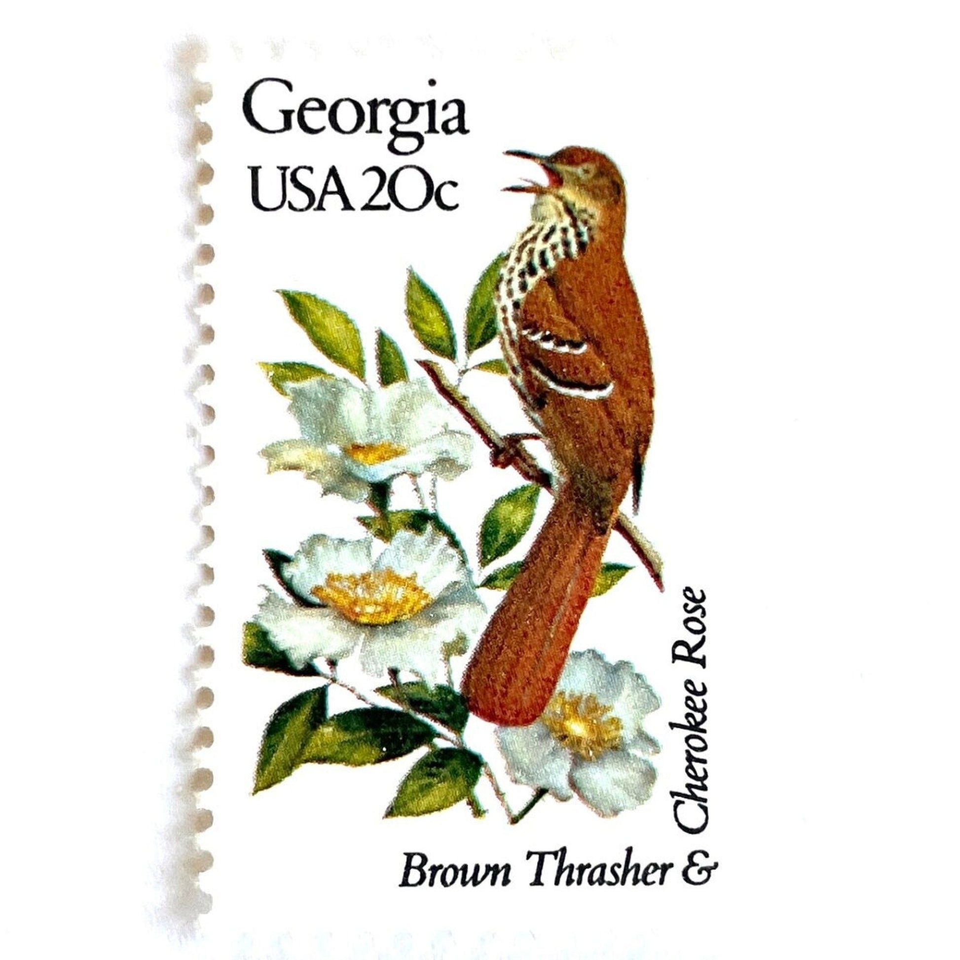 Image of Georgia State Bird and Flower postage stamps from 1982, featuring a Brown Thrasher and Cherokee Rose on vintage unused 20-cent USPS postage, Scott 1962.