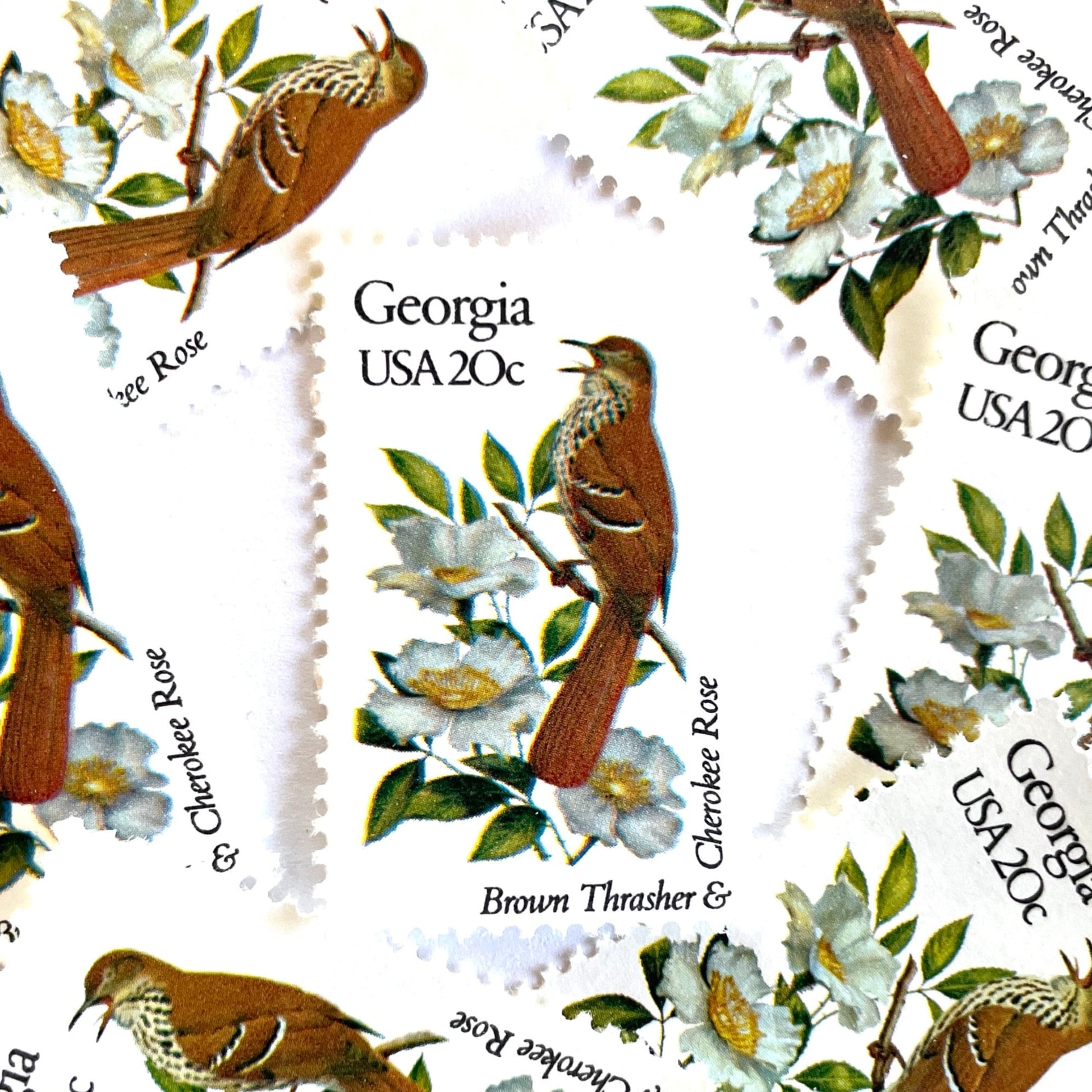 Image of Georgia State Bird and Flower postage stamps from 1982, featuring a Brown Thrasher and Cherokee Rose on vintage unused 20-cent USPS postage, Scott 1962.