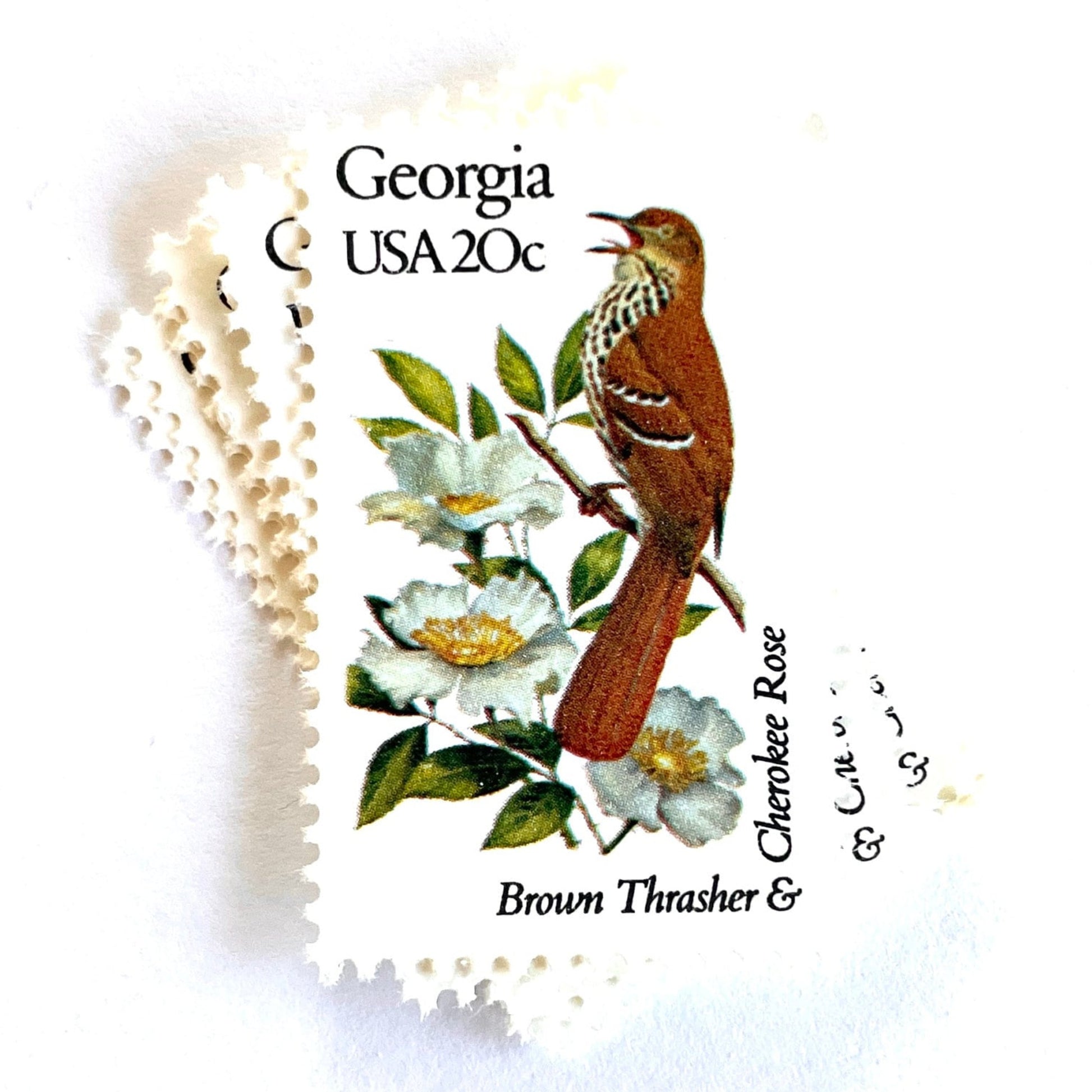 Image of Georgia State Bird and Flower postage stamps from 1982, featuring a Brown Thrasher and Cherokee Rose on vintage unused 20-cent USPS postage, Scott 1962.