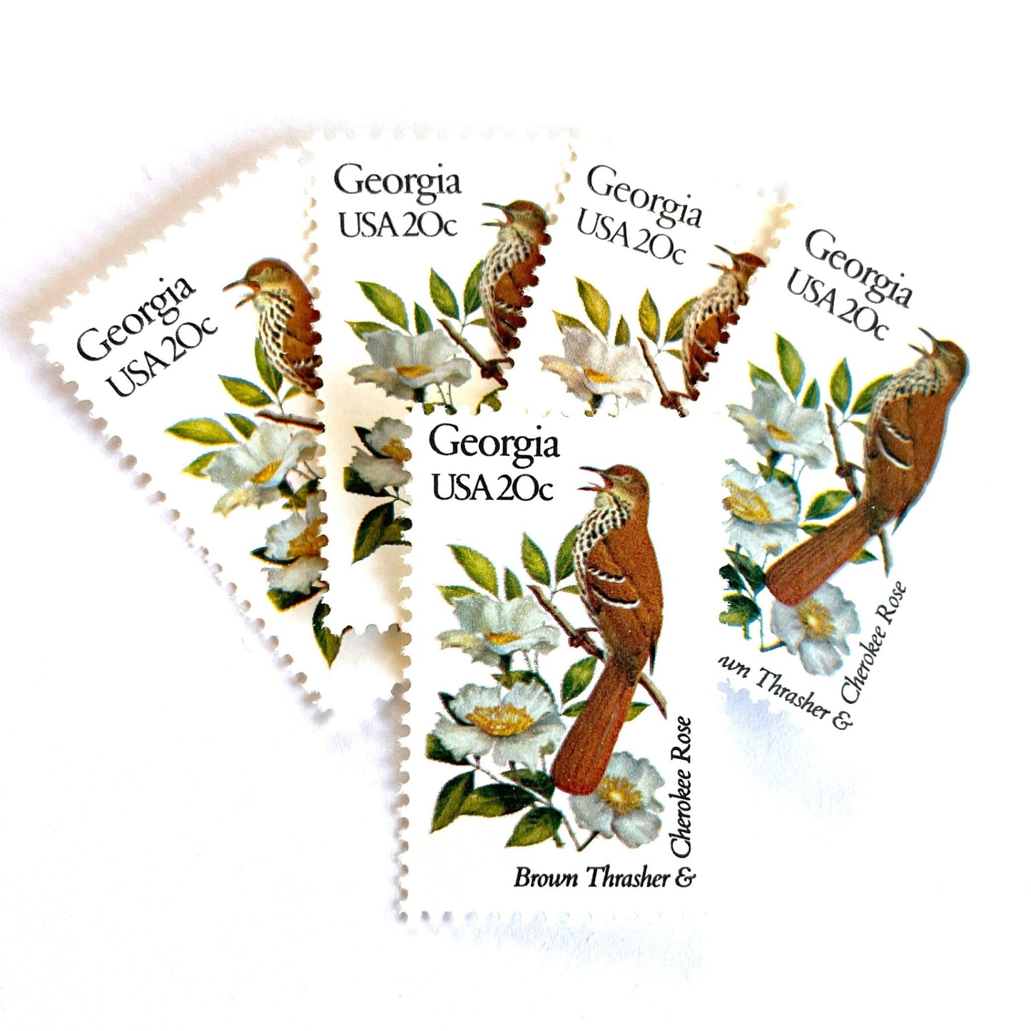 Image of Georgia State Bird and Flower postage stamps from 1982, featuring a Brown Thrasher and Cherokee Rose on vintage unused 20-cent USPS postage, Scott 1962.