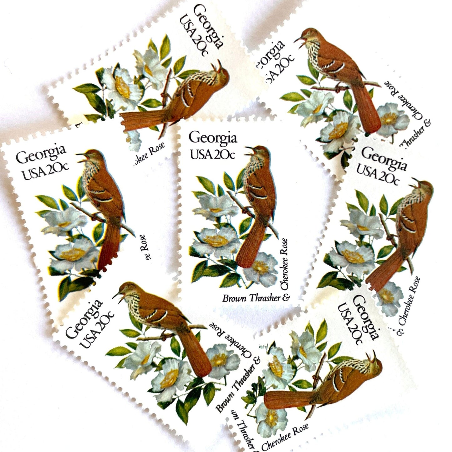 Image of Georgia State Bird and Flower postage stamps from 1982, featuring a Brown Thrasher and Cherokee Rose on vintage unused 20-cent USPS postage, Scott 1962.