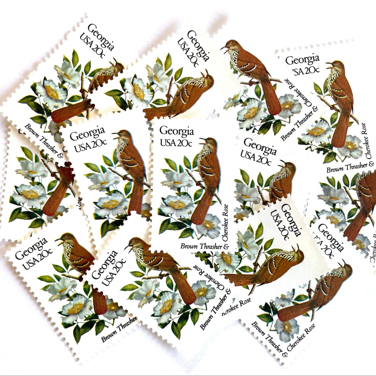Image of Georgia State Bird and Flower postage stamps from 1982, featuring a Brown Thrasher and Cherokee Rose on vintage unused 20-cent USPS postage, Scott 1962.