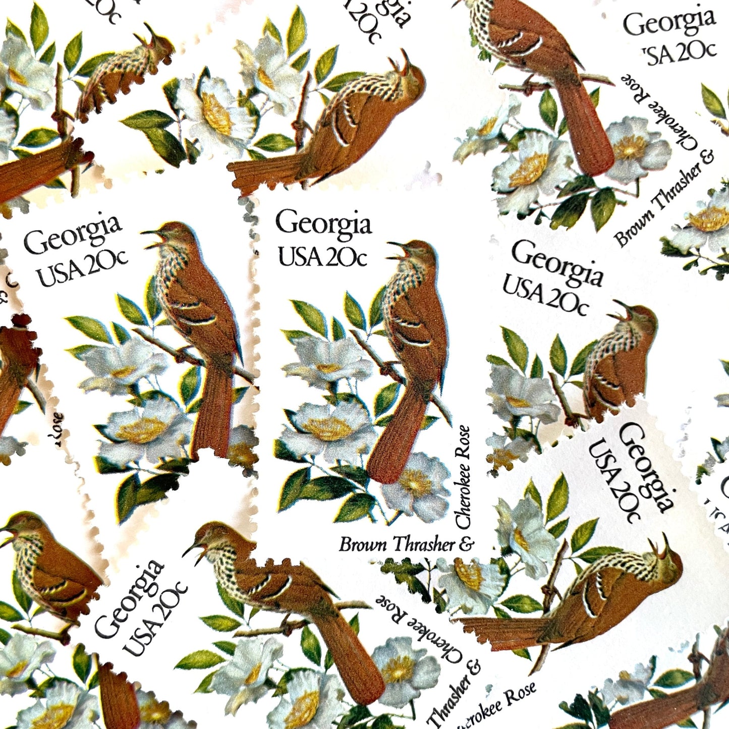 Image of Georgia State Bird and Flower postage stamps from 1982, featuring a Brown Thrasher and Cherokee Rose on vintage unused 20-cent USPS postage, Scott 1962.