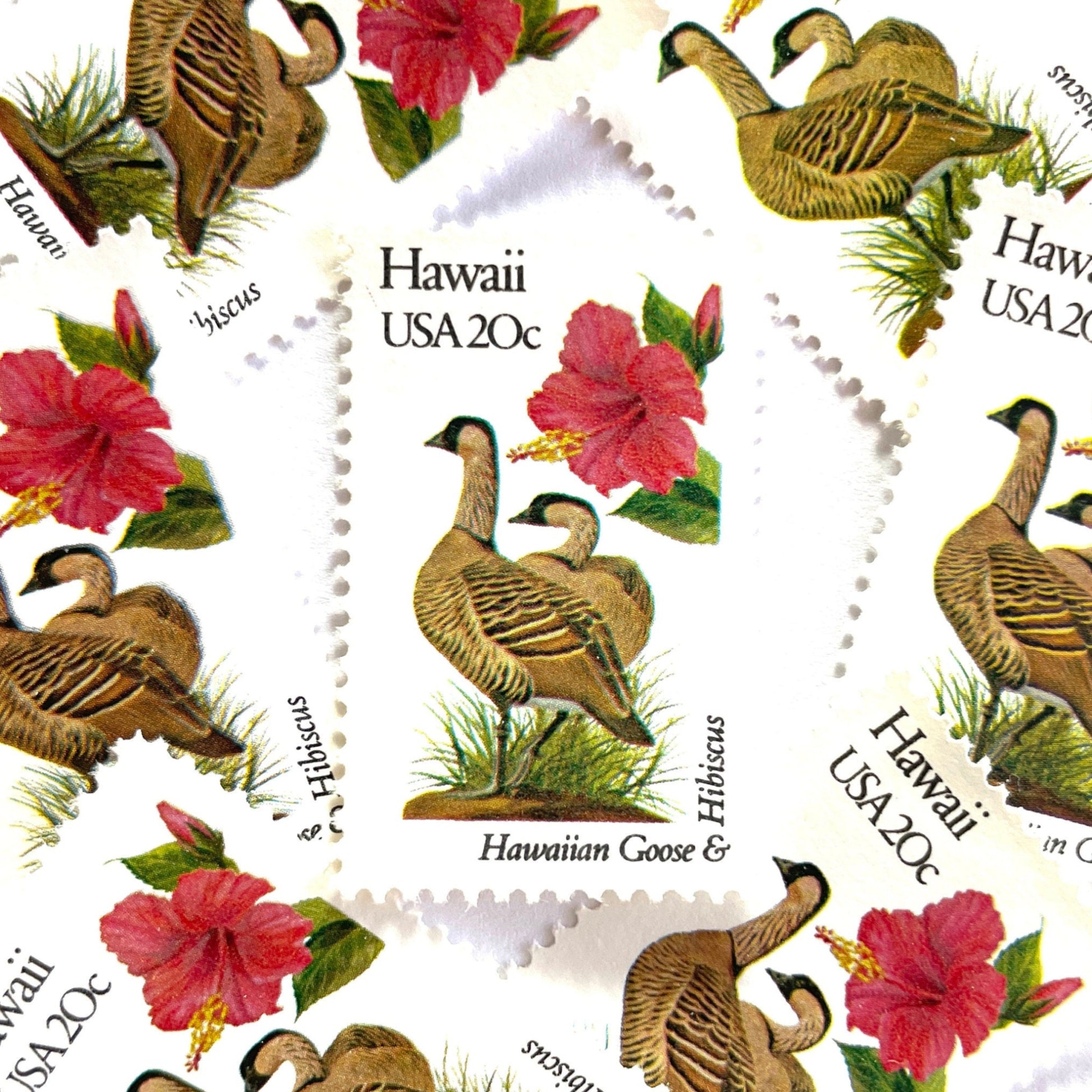 Image of 1982 State Birds & Flowers Hawaii 20 cent stamps. Scott #1963. Stamp themes: Nene, Hawaiian Goose, Hibiscus, Yellow Hibiscus, Hawaii State Bird, Hawaii State Flower, Aloha. White and red postage stamp.