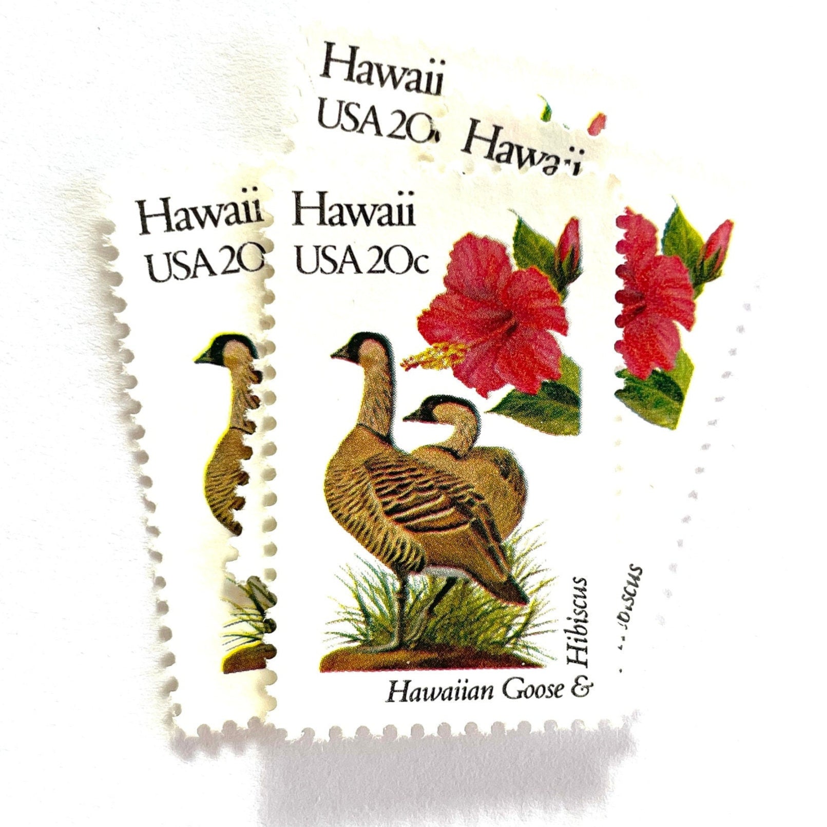 Image of 1982 State Birds & Flowers Hawaii 20 cent stamps. Scott #1963. Stamp themes: Nene, Hawaiian Goose, Hibiscus, Yellow Hibiscus, Hawaii State Bird, Hawaii State Flower, Aloha. White and red postage stamp.