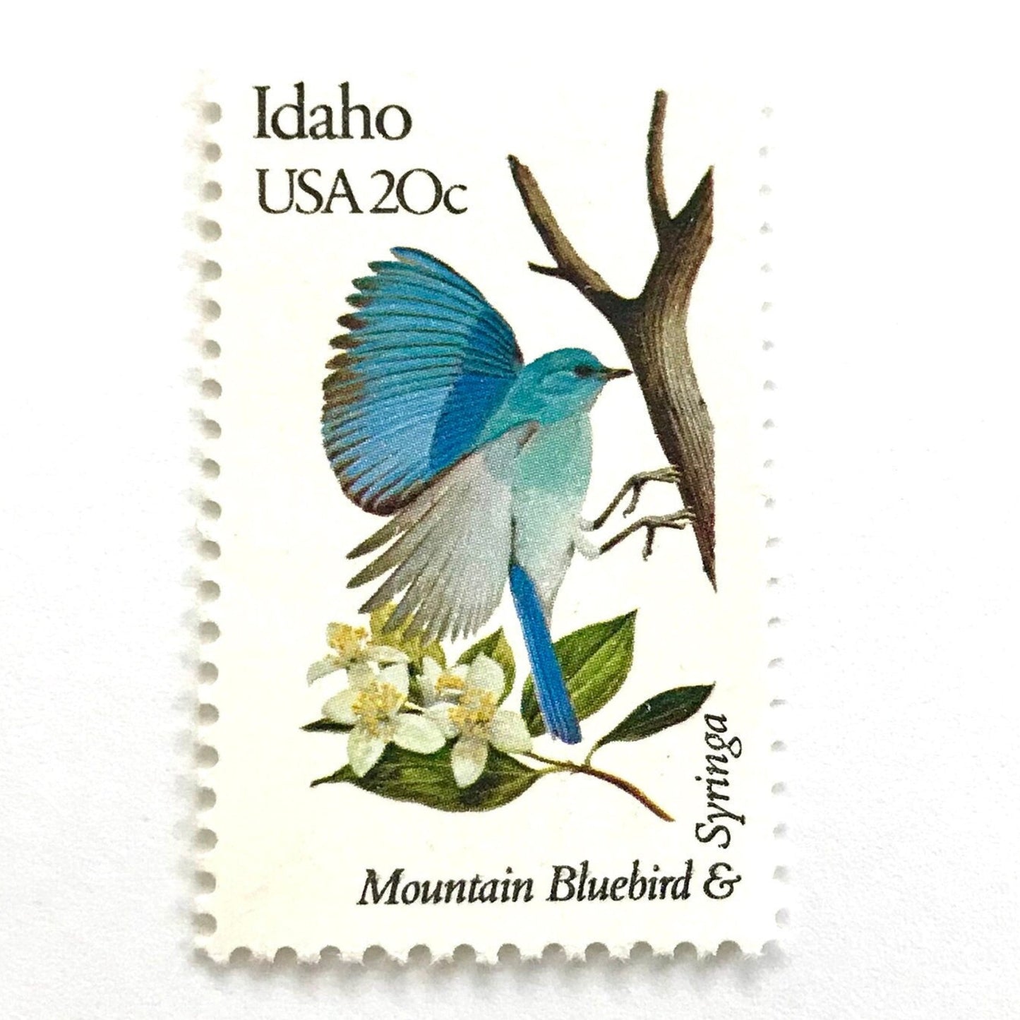 Image of Idaho State Bird and Flower postage stamps from 1982, featuring a Mountain Bluebird and Syringa on vintage unused 20-cent USPS postage, Scott 1964.