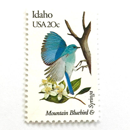 Image of Idaho State Bird and Flower postage stamps from 1982, featuring a Mountain Bluebird and Syringa on vintage unused 20-cent USPS postage, Scott 1964.