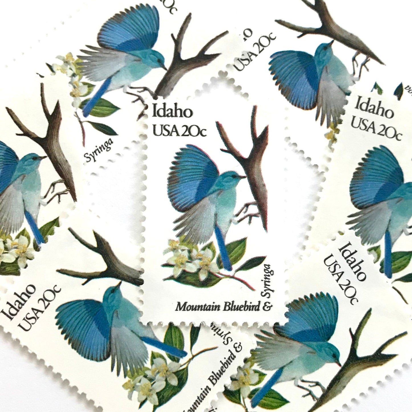 Image of Idaho State Bird and Flower postage stamps from 1982, featuring a Mountain Bluebird and Syringa on vintage unused 20-cent USPS postage, Scott 1964.