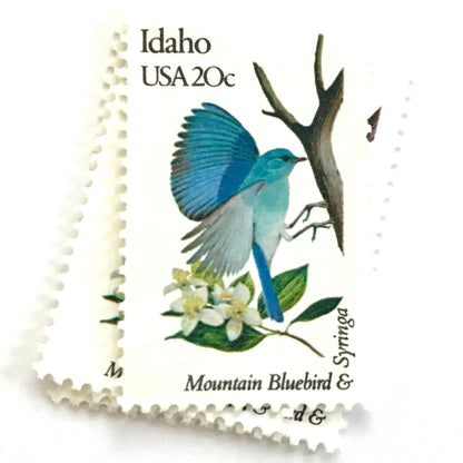 Image of Idaho State Bird and Flower postage stamps from 1982, featuring a Mountain Bluebird and Syringa on vintage unused 20-cent USPS postage, Scott 1964.