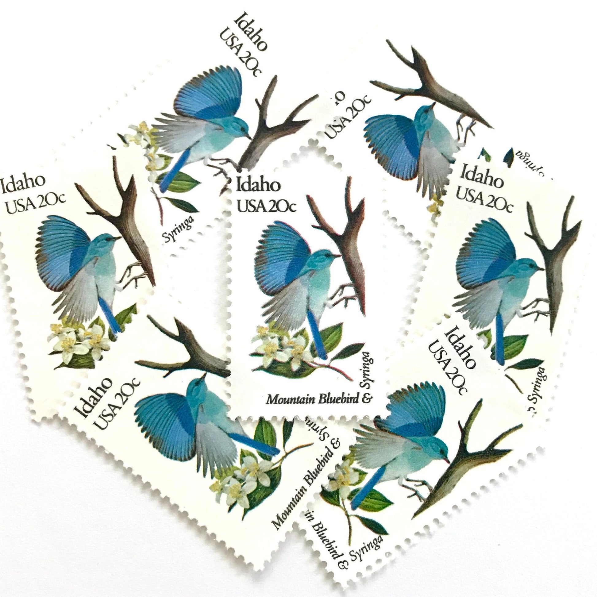 Image of Idaho State Bird and Flower postage stamps from 1982, featuring a Mountain Bluebird and Syringa on vintage unused 20-cent USPS postage, Scott 1964.