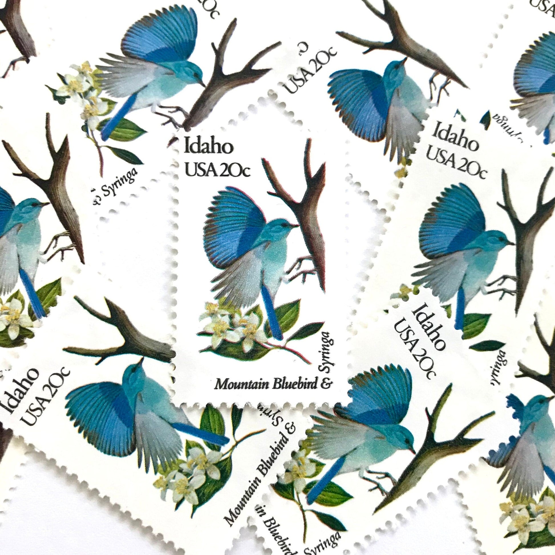 Image of Idaho State Bird and Flower postage stamps from 1982, featuring a Mountain Bluebird and Syringa on vintage unused 20-cent USPS postage, Scott 1964.