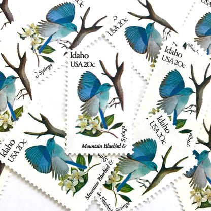 Image of Idaho State Bird and Flower postage stamps from 1982, featuring a Mountain Bluebird and Syringa on vintage unused 20-cent USPS postage, Scott 1964.