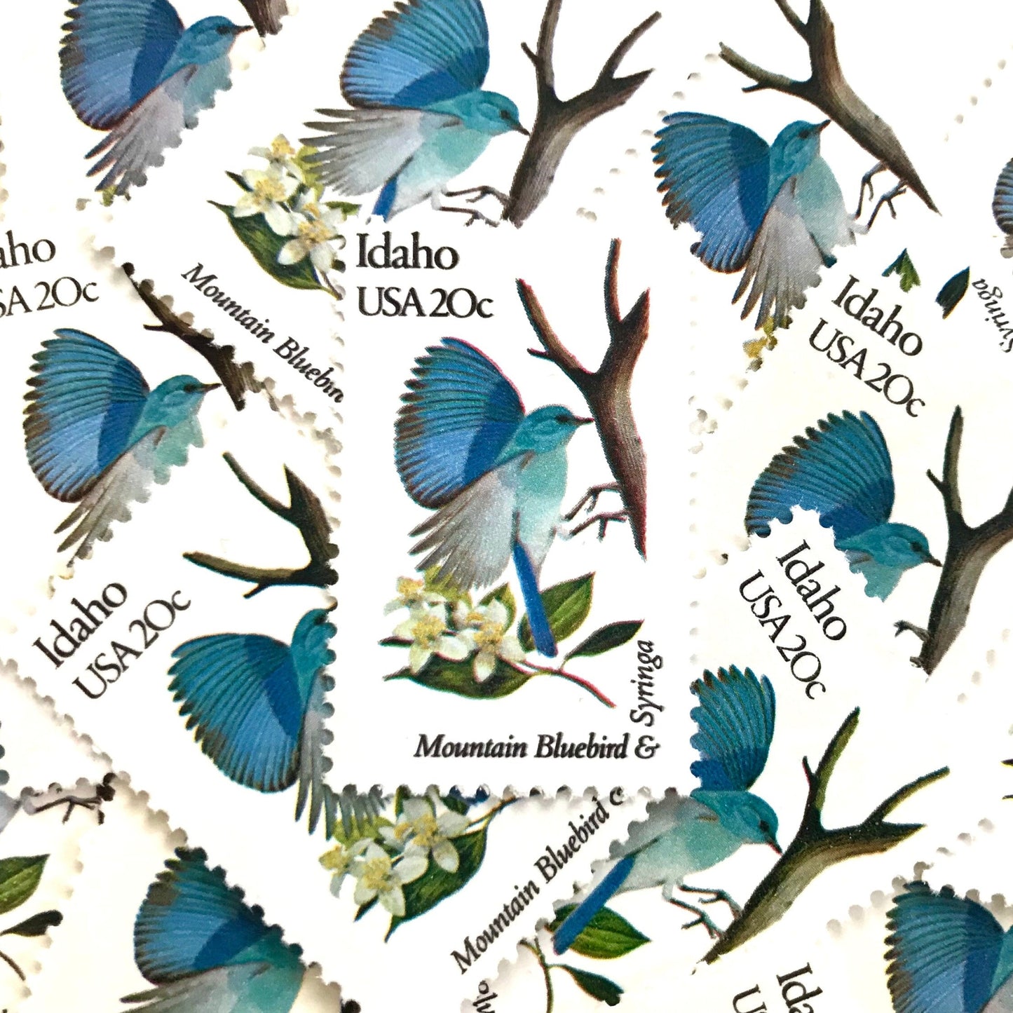 Image of Idaho State Bird and Flower postage stamps from 1982, featuring a Mountain Bluebird and Syringa on vintage unused 20-cent USPS postage, Scott 1964.