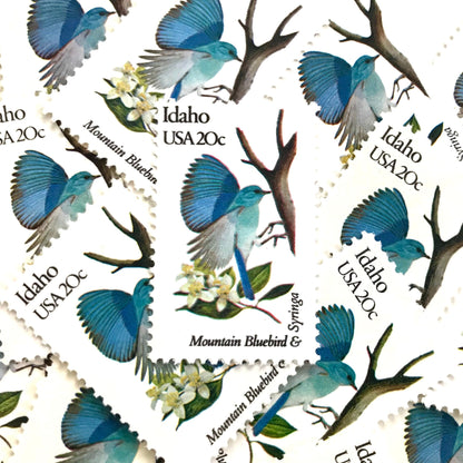 Image of Idaho State Bird and Flower postage stamps from 1982, featuring a Mountain Bluebird and Syringa on vintage unused 20-cent USPS postage, Scott 1964.