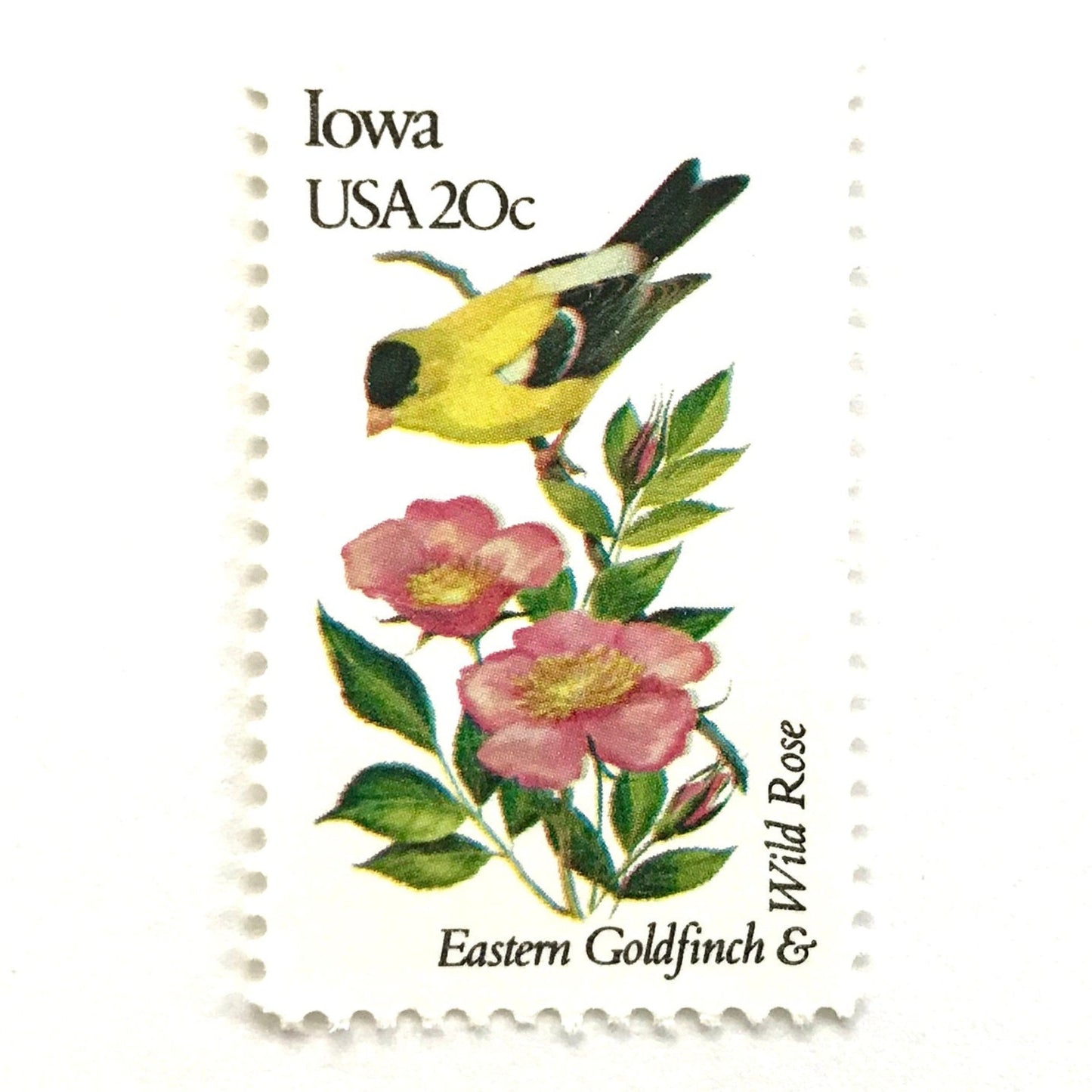 Image of Iowa State Bird and Flower postage stamps from 1982, featuring an Eastern Goldfinch and Wild Prairie Rose on vintage unused 20-cent USPS postage, Scott 1967.