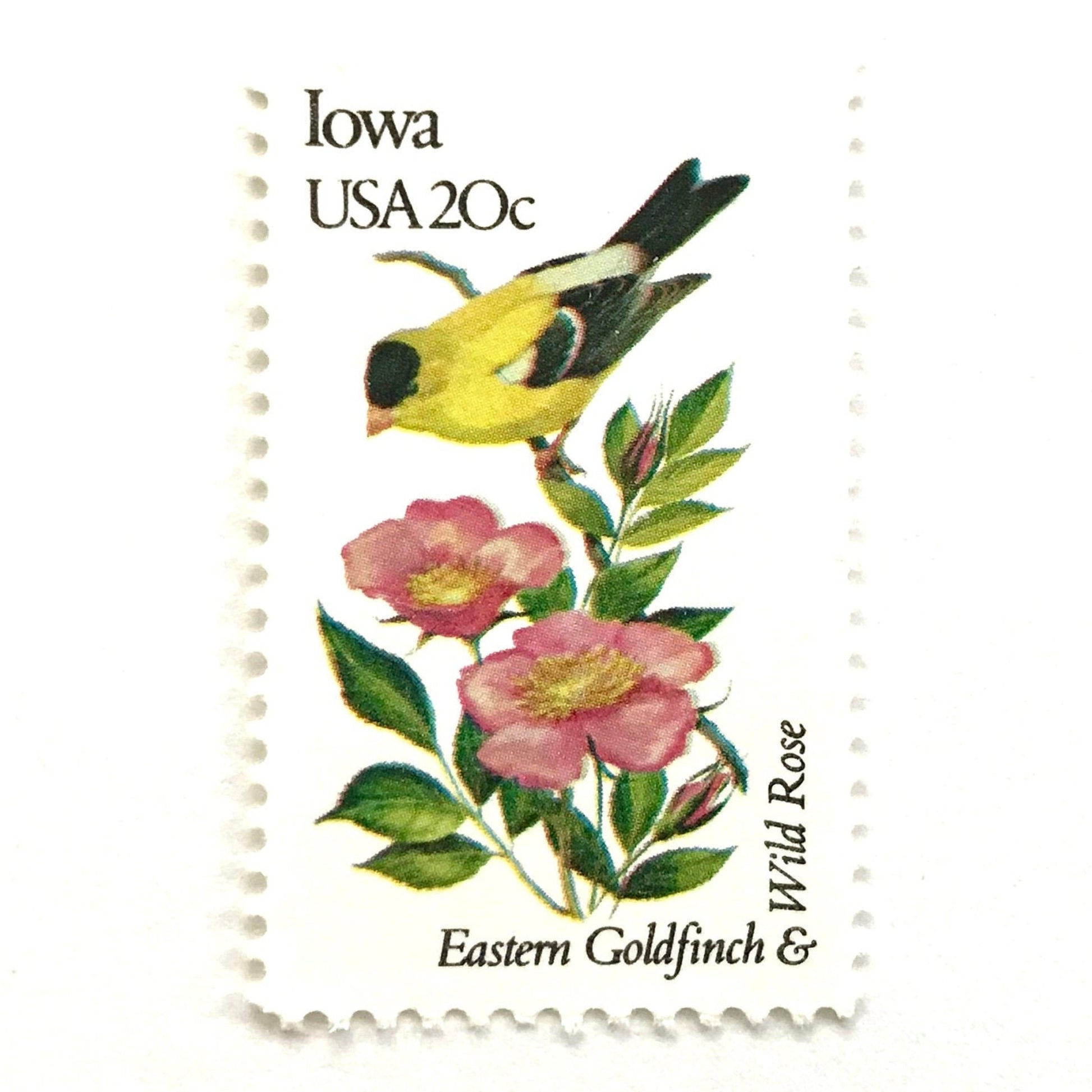 Image of Iowa State Bird and Flower postage stamps from 1982, featuring an Eastern Goldfinch and Wild Prairie Rose on vintage unused 20-cent USPS postage, Scott 1967.