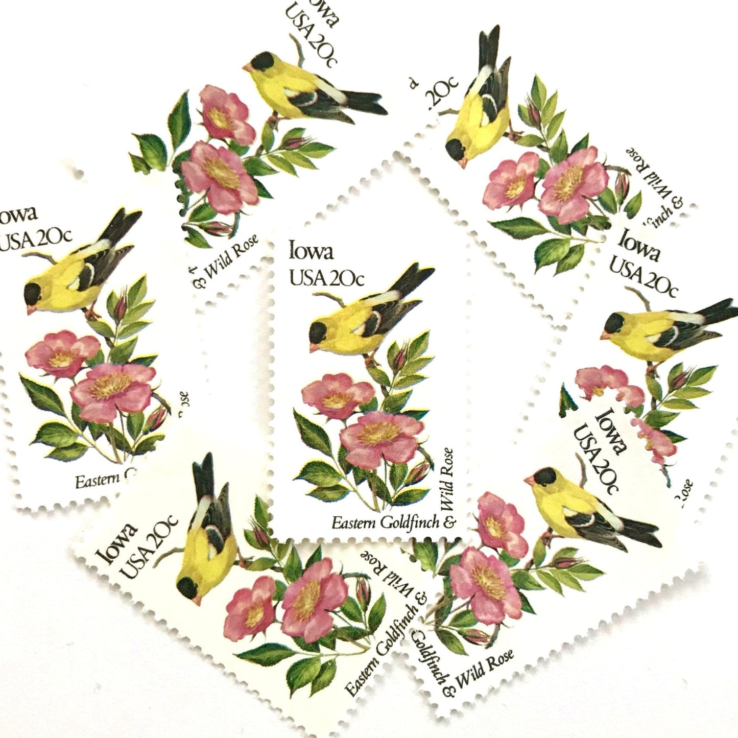 Image of Iowa State Bird and Flower postage stamps from 1982, featuring an Eastern Goldfinch and Wild Prairie Rose on vintage unused 20-cent USPS postage, Scott 1967.