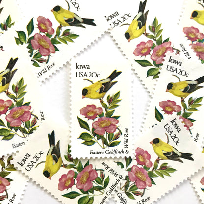 Image of Iowa State Bird and Flower postage stamps from 1982, featuring an Eastern Goldfinch and Wild Prairie Rose on vintage unused 20-cent USPS postage, Scott 1967.