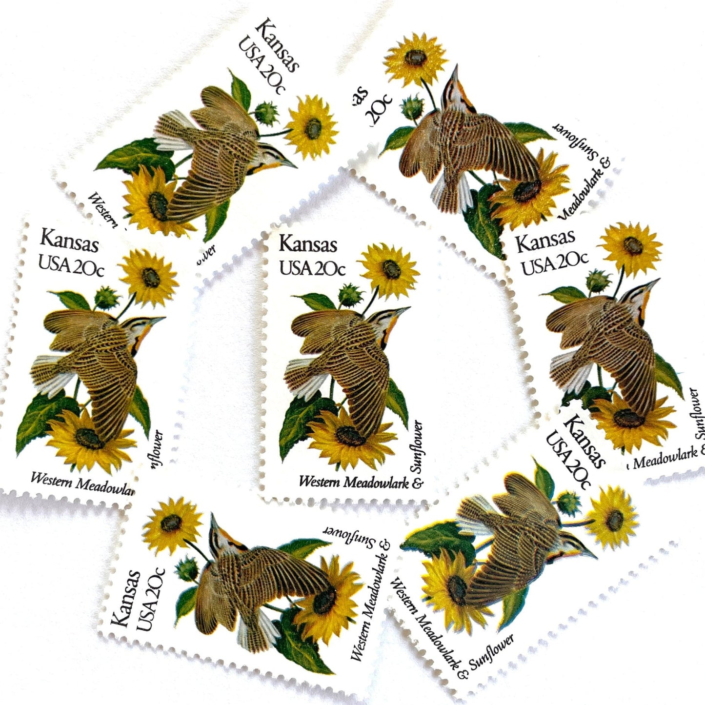 Image of Kansas State Bird and Flower postage stamps from 1982, featuring a Western Meadowlark and Sunflower on vintage unused 20-cent USPS postage, Scott 1968.