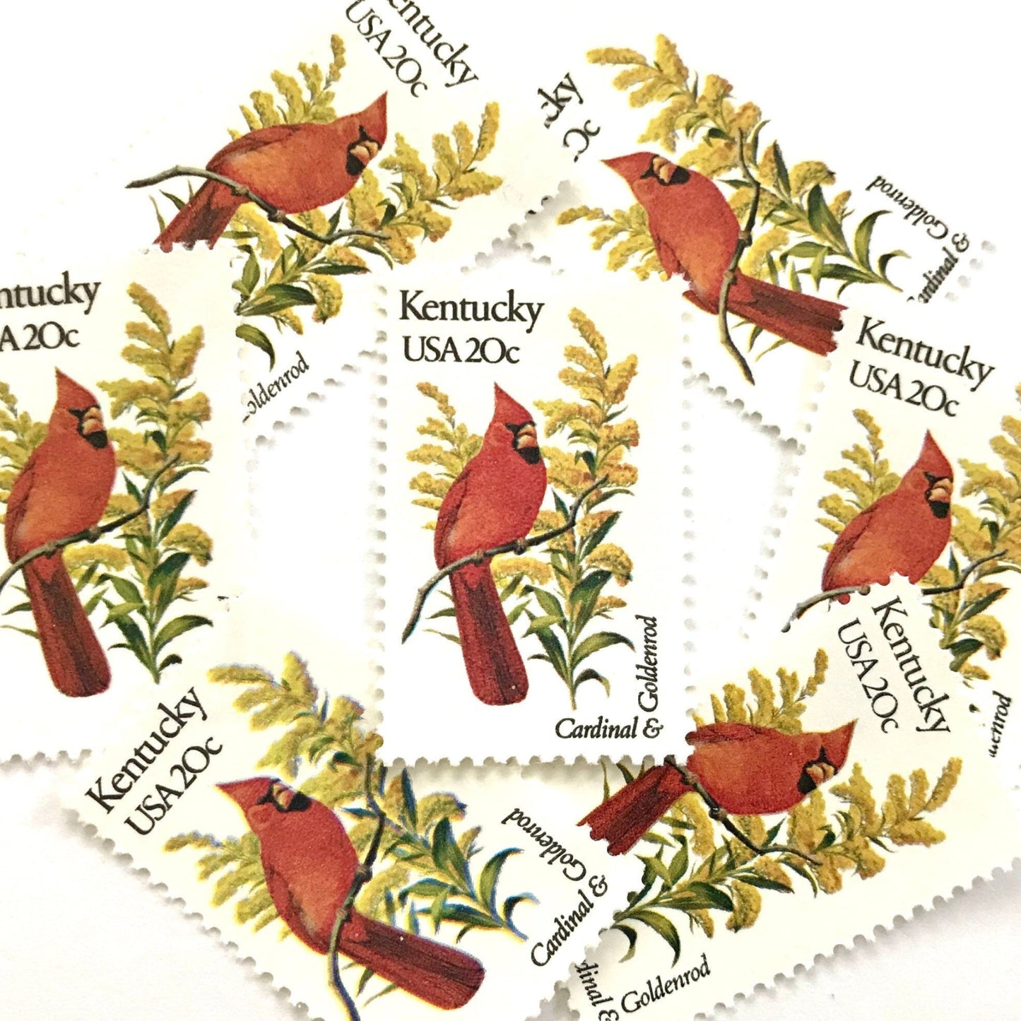 Image of Kentucky State Bird and Flower postage stamps from 1982, featuring a Cardinal and Goldenrod on vintage unused 20-cent USPS postage, Scott 1969.