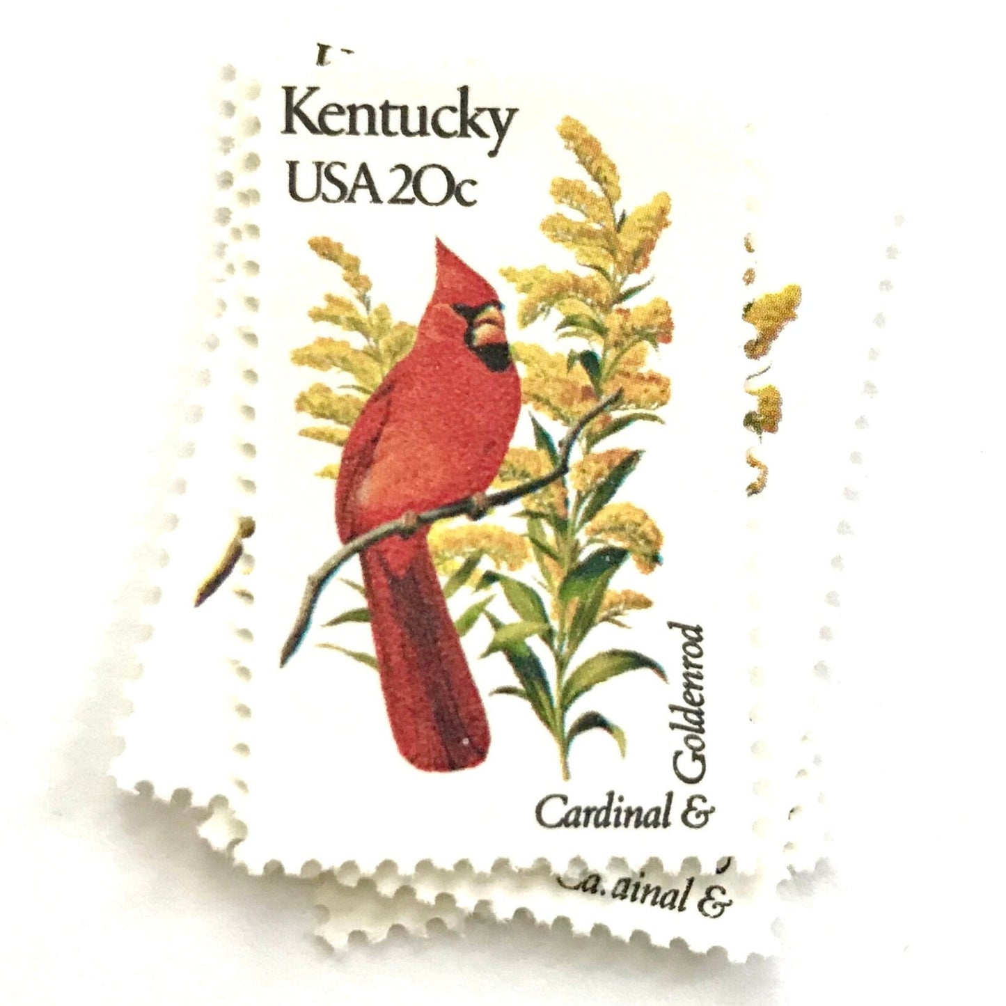Image of Kentucky State Bird and Flower postage stamps from 1982, featuring a Cardinal and Goldenrod on vintage unused 20-cent USPS postage, Scott 1969.