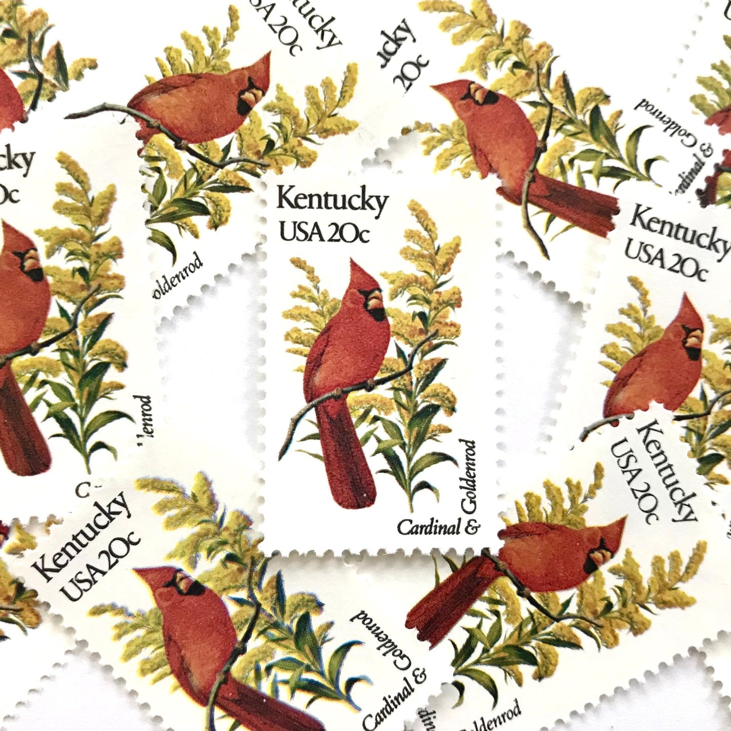 Image of Kentucky State Bird and Flower postage stamps from 1982, featuring a Cardinal and Goldenrod on vintage unused 20-cent USPS postage, Scott 1969.