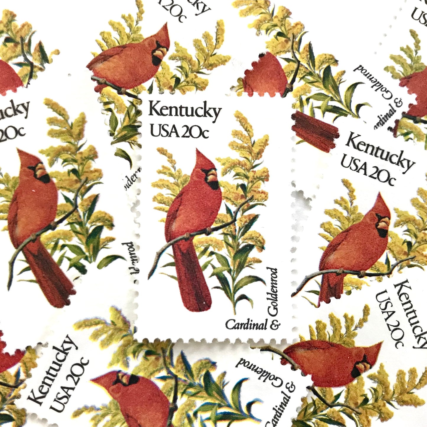Image of Kentucky State Bird and Flower postage stamps from 1982, featuring a Cardinal and Goldenrod on vintage unused 20-cent USPS postage, Scott 1969.