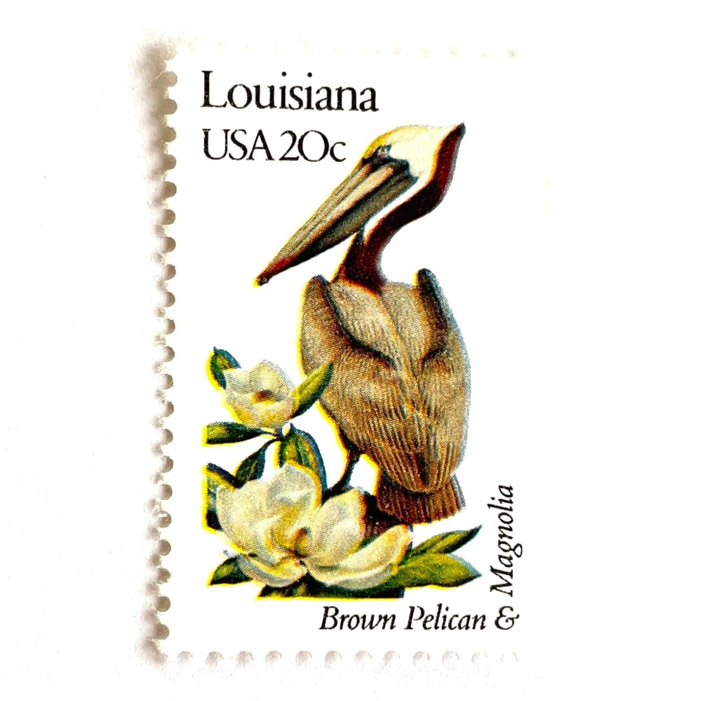 Image of Louisiana State Bird and Flower postage stamps from 1982, featuring a Brown Pelican and Magnolia on vintage unused 20-cent USPS postage, Scott 1970.