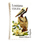 Image of Louisiana State Bird and Flower postage stamps from 1982, featuring a Brown Pelican and Magnolia on vintage unused 20-cent USPS postage, Scott 1970.