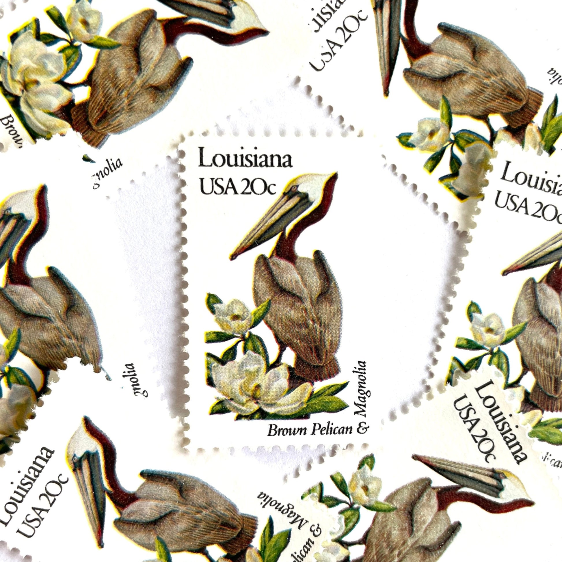 Image of Louisiana State Bird and Flower postage stamps from 1982, featuring a Brown Pelican and Magnolia on vintage unused 20-cent USPS postage, Scott 1970.