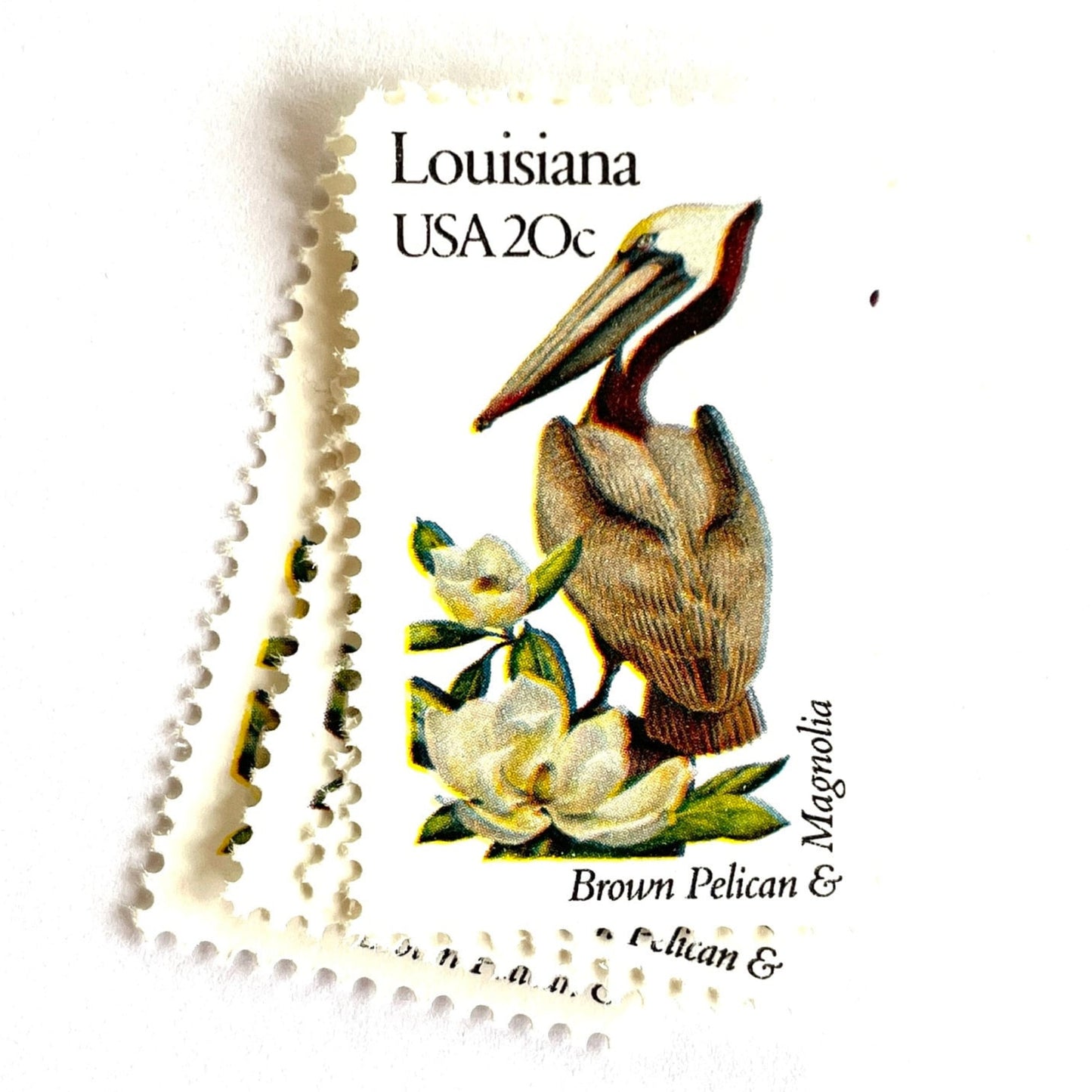Image of Louisiana State Bird and Flower postage stamps from 1982, featuring a Brown Pelican and Magnolia on vintage unused 20-cent USPS postage, Scott 1970.