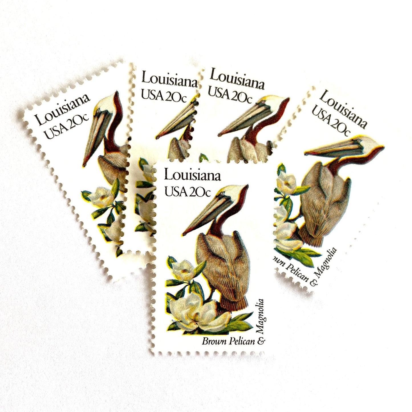 Image of Louisiana State Bird and Flower postage stamps from 1982, featuring a Brown Pelican and Magnolia on vintage unused 20-cent USPS postage, Scott 1970.